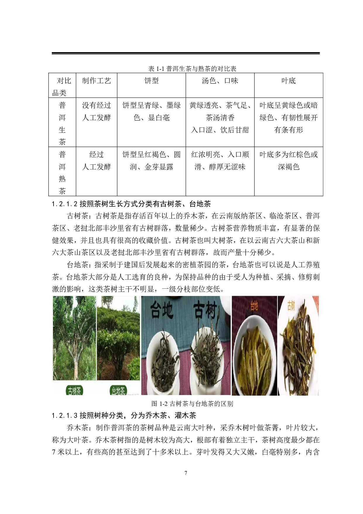 茶叶系列包装设计-28476字.pdf 第9页