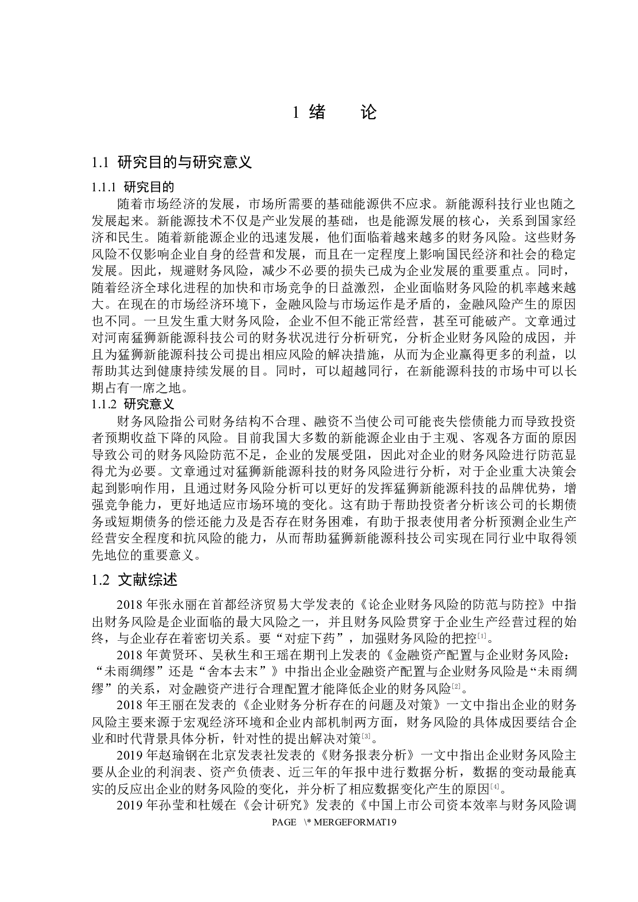 猛狮新能源科技公司财务风险成因及防范-12748字.docx 第5页