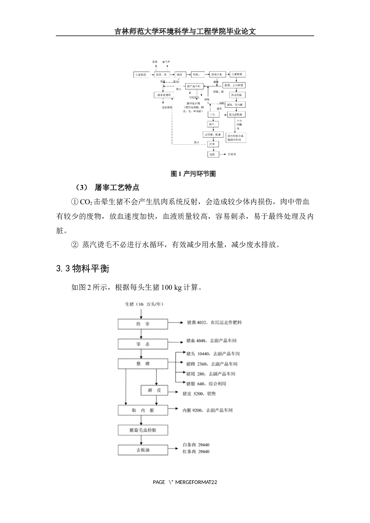 屠宰生猪十万头项目环境影响评价-11077字.docx 第6页