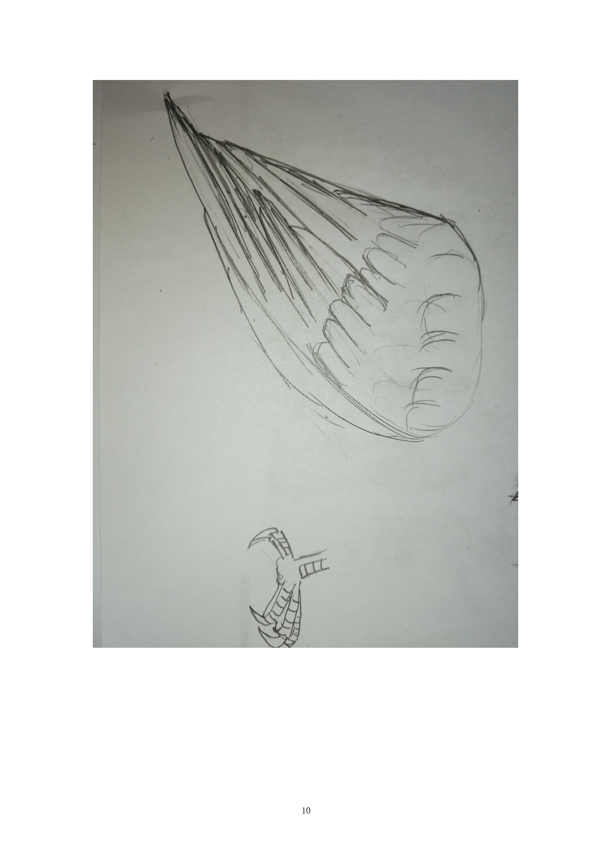 落鹰归巢-4818字.doc 第10页