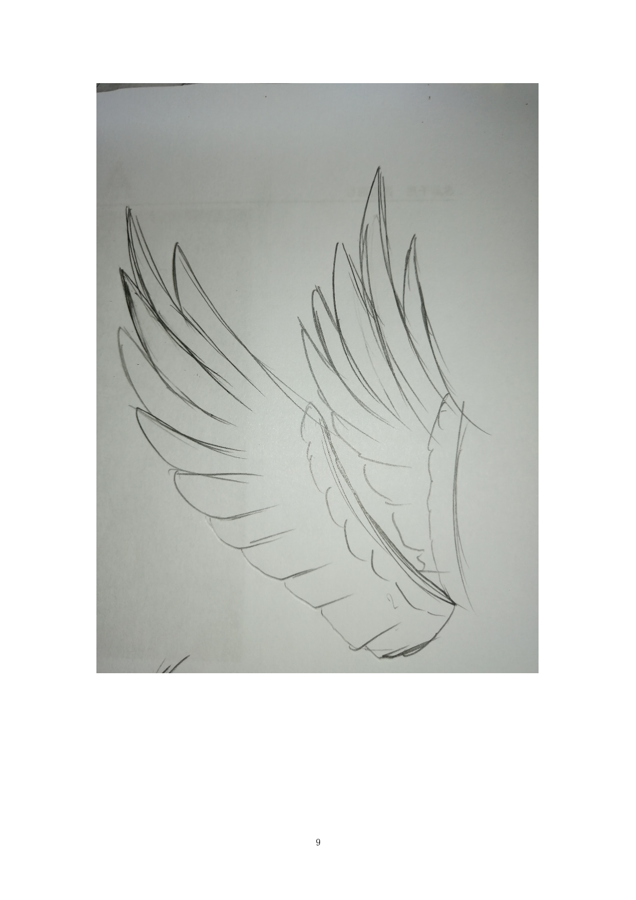 落鹰归巢-4818字.doc 第9页