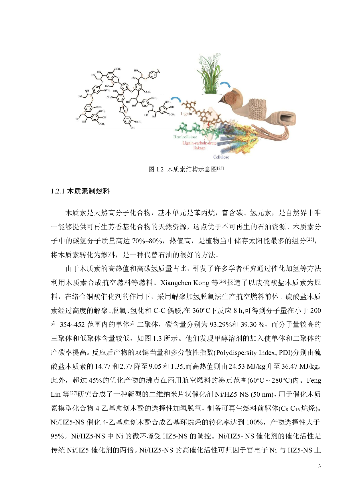 基于DES技术的酶解木质素降解研究及应用-16761字.pdf 第5页