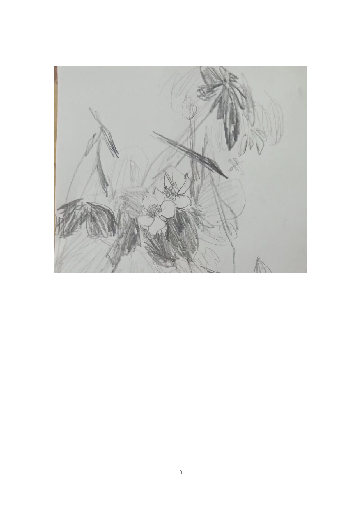 《池上芙蓉》-5899字.docx 第9页