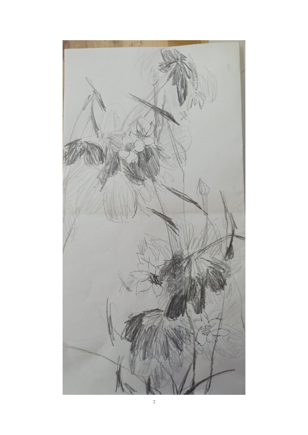 《池上芙蓉》-5899字.docx 第8页