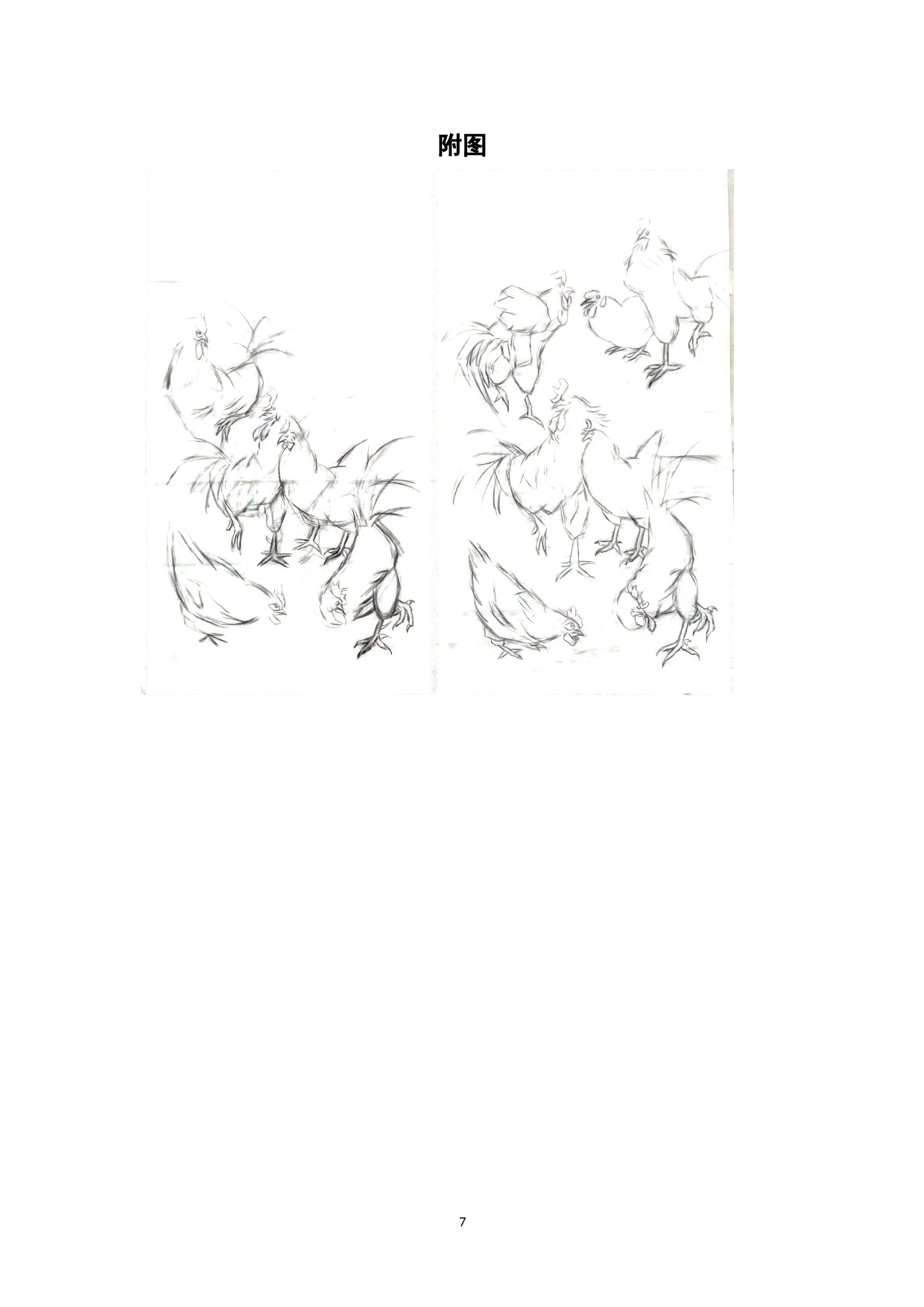 凤翎群鸡图-5186字.doc 第8页