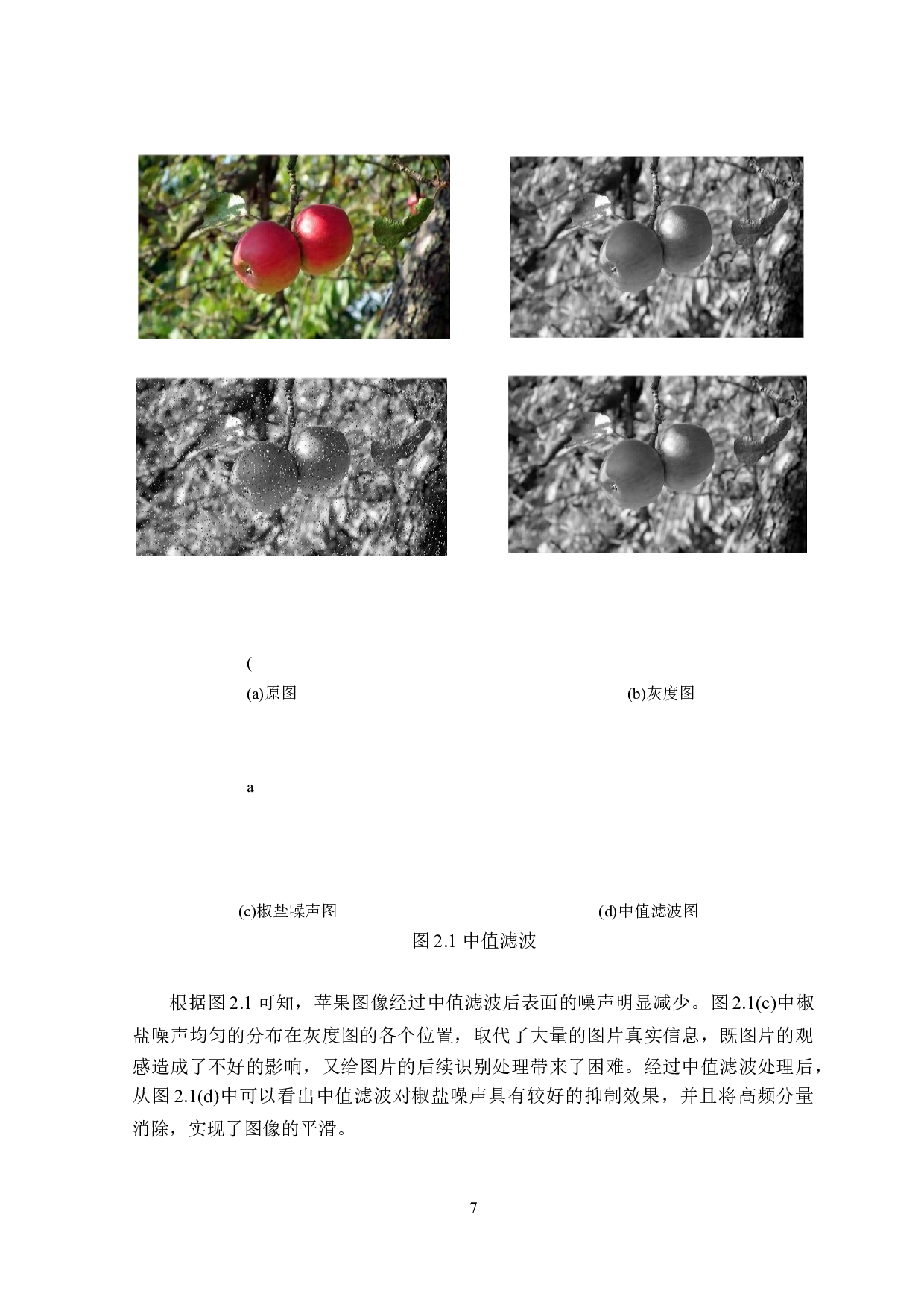 基于自适应二值化的苹果采摘机器人目标识别-14990字.doc 第10页