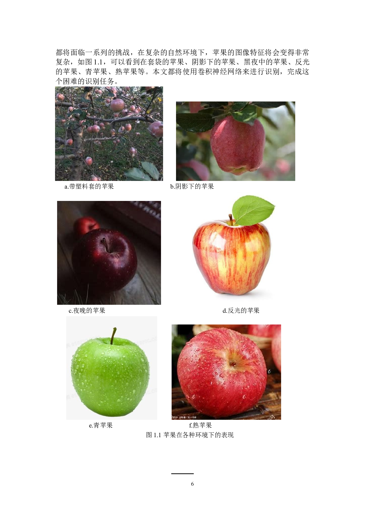 基于神经网络的苹果采摘机器人目标识别-14872字.doc 第6页