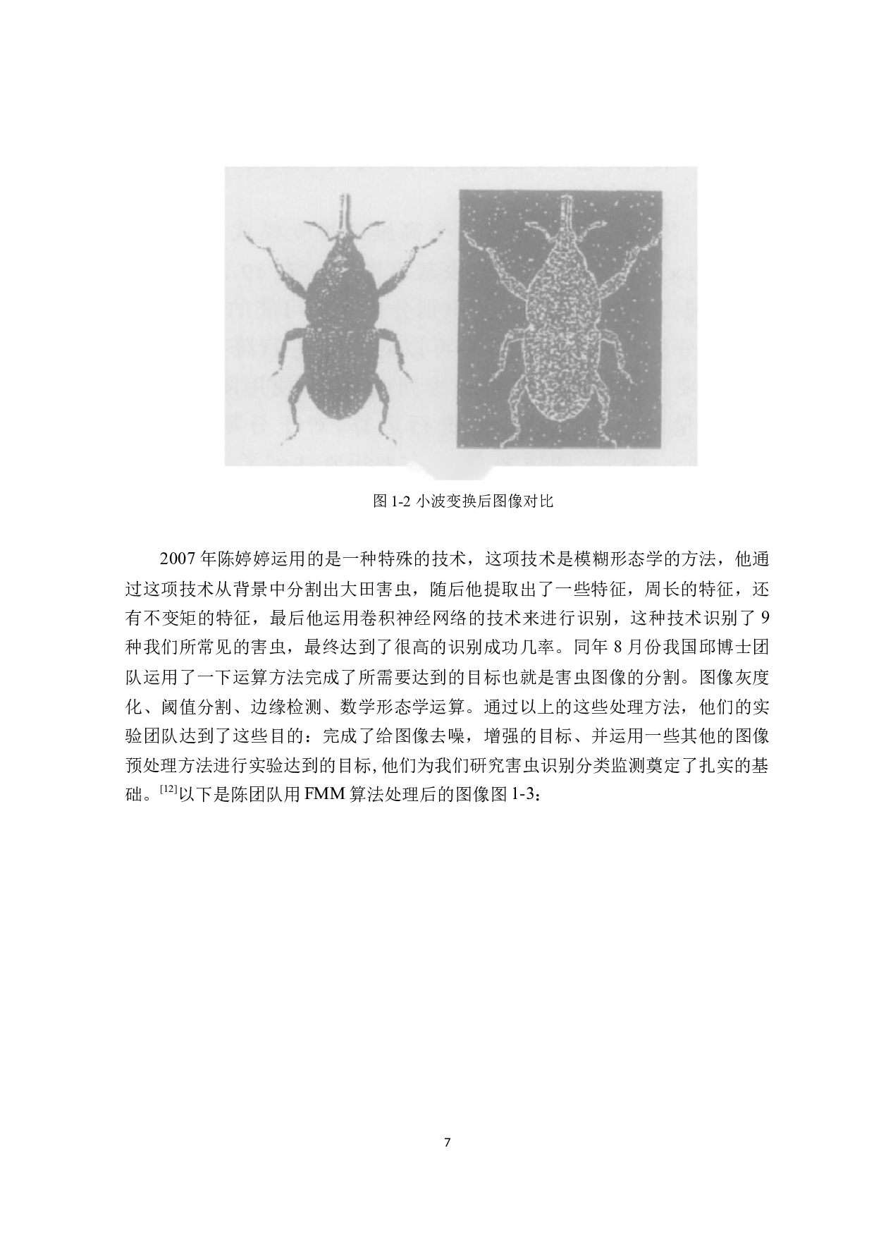 基于机器视觉的蚊虫识别检测技术-18989字.docx 第10页