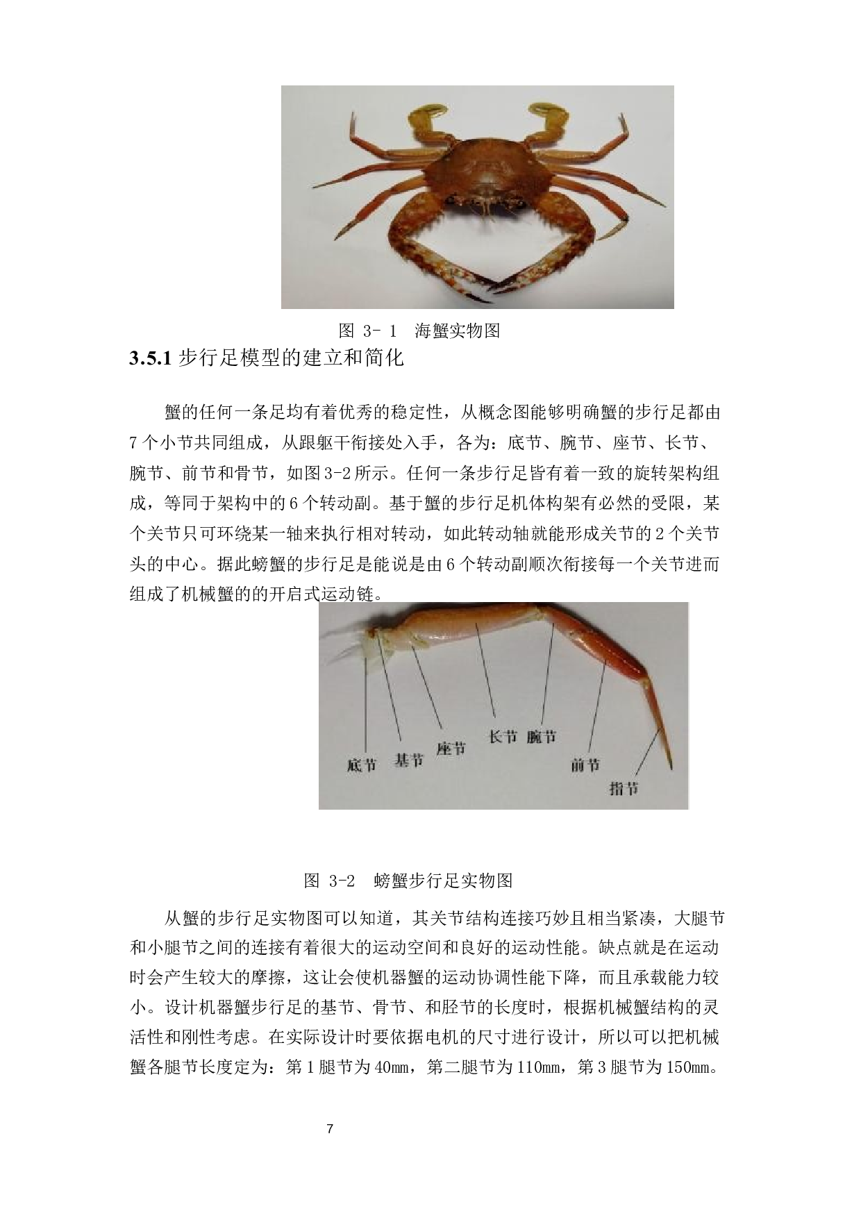 多足仿生机械蟹步态仿真-14060字.docx 第10页