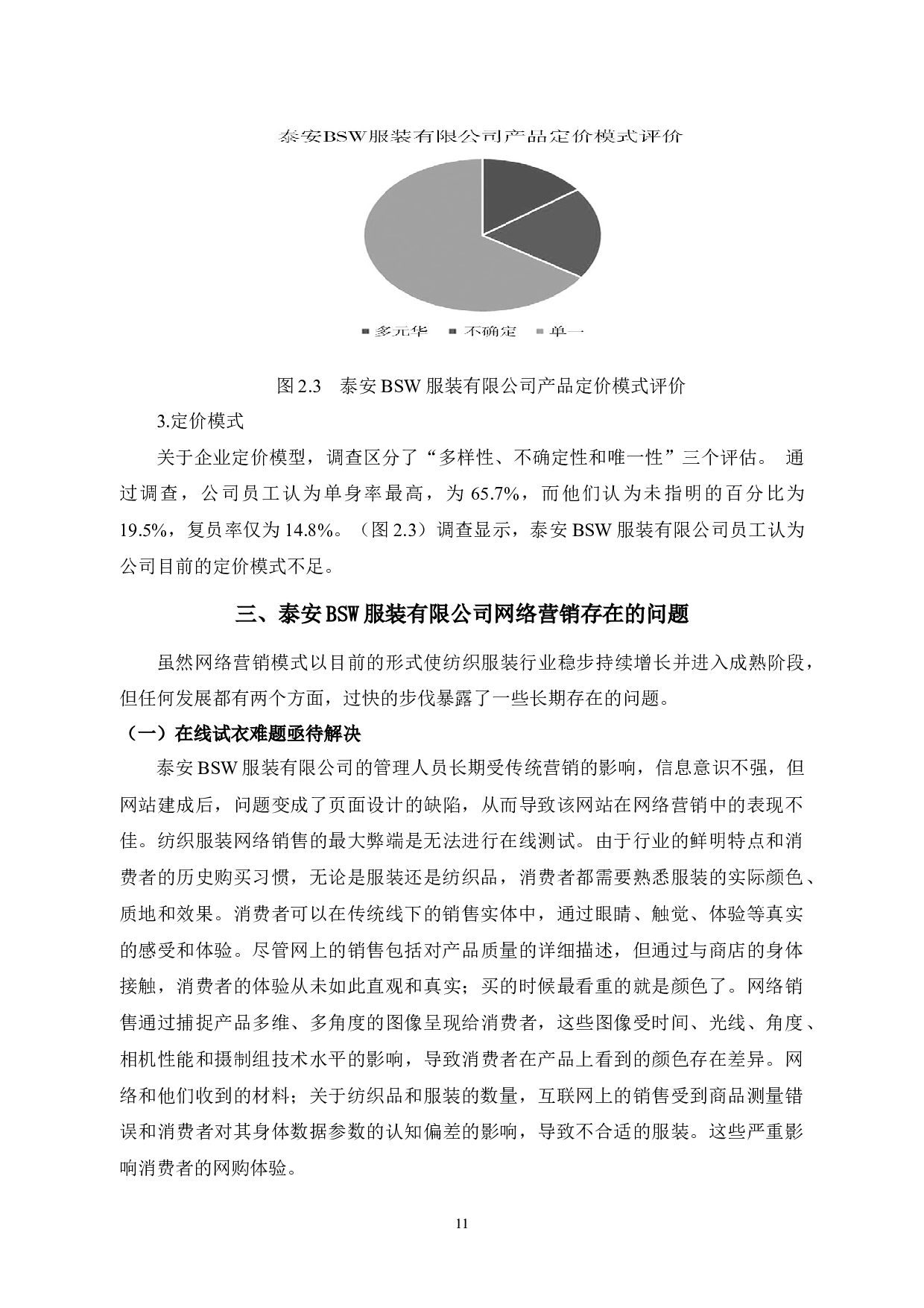 泰安BSW服装有限公司网络营销策略研究-10417字.docx 第9页