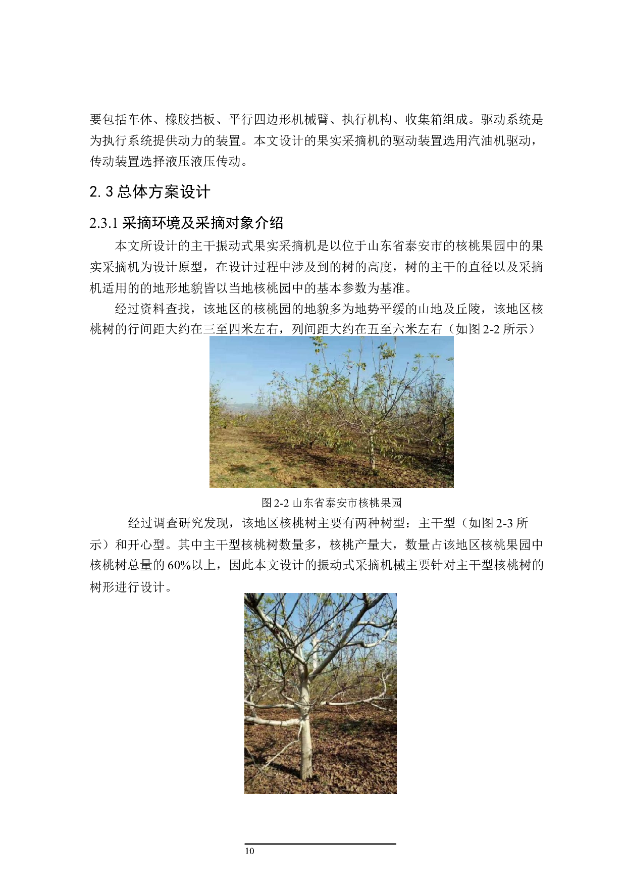 主干振动式果实采摘机的结构设计-16092字.docx 第10页