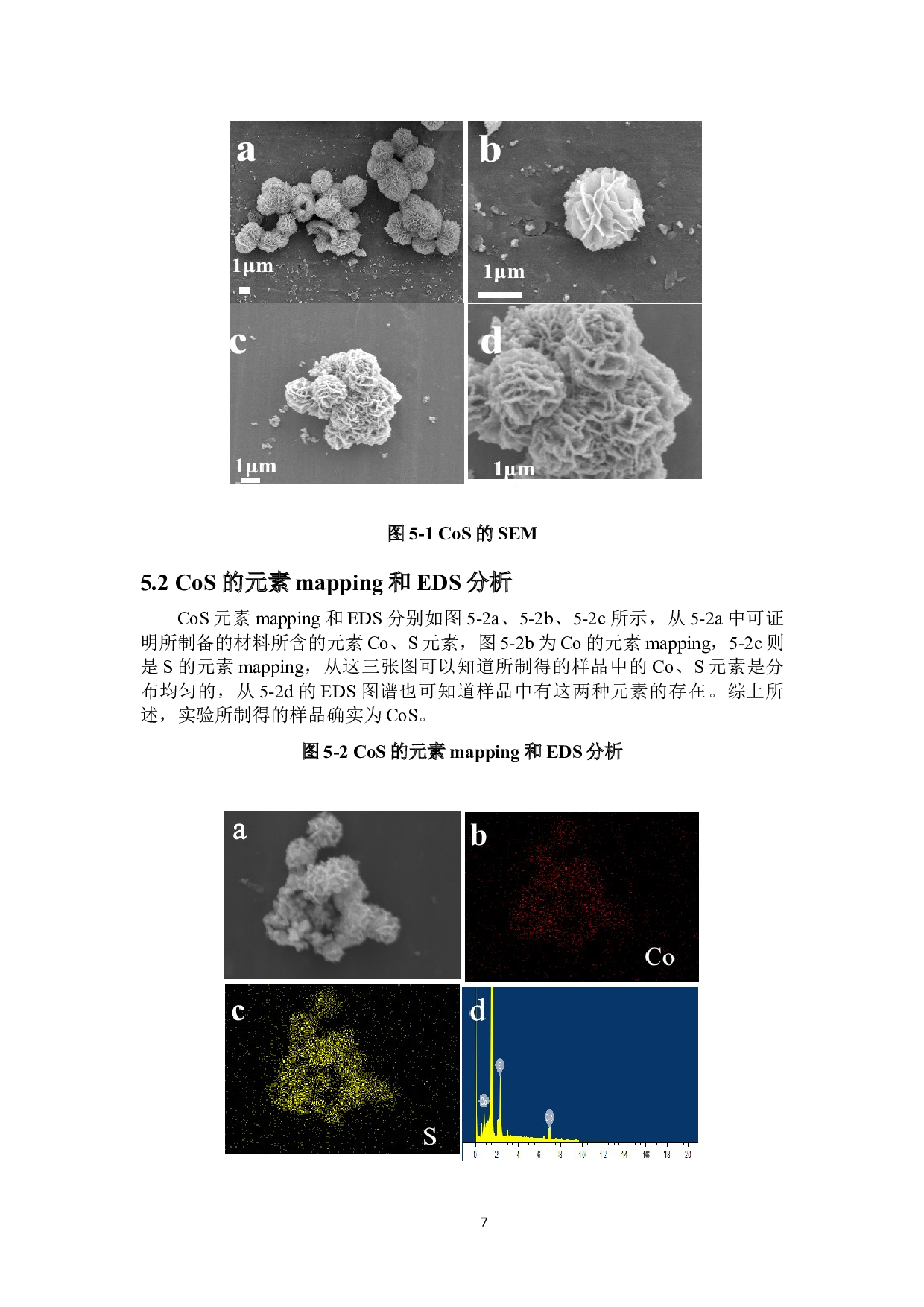 类雪花型CoS纳米球的制备及其在染料敏化太阳能电池中的应用-8267字.docx 第10页