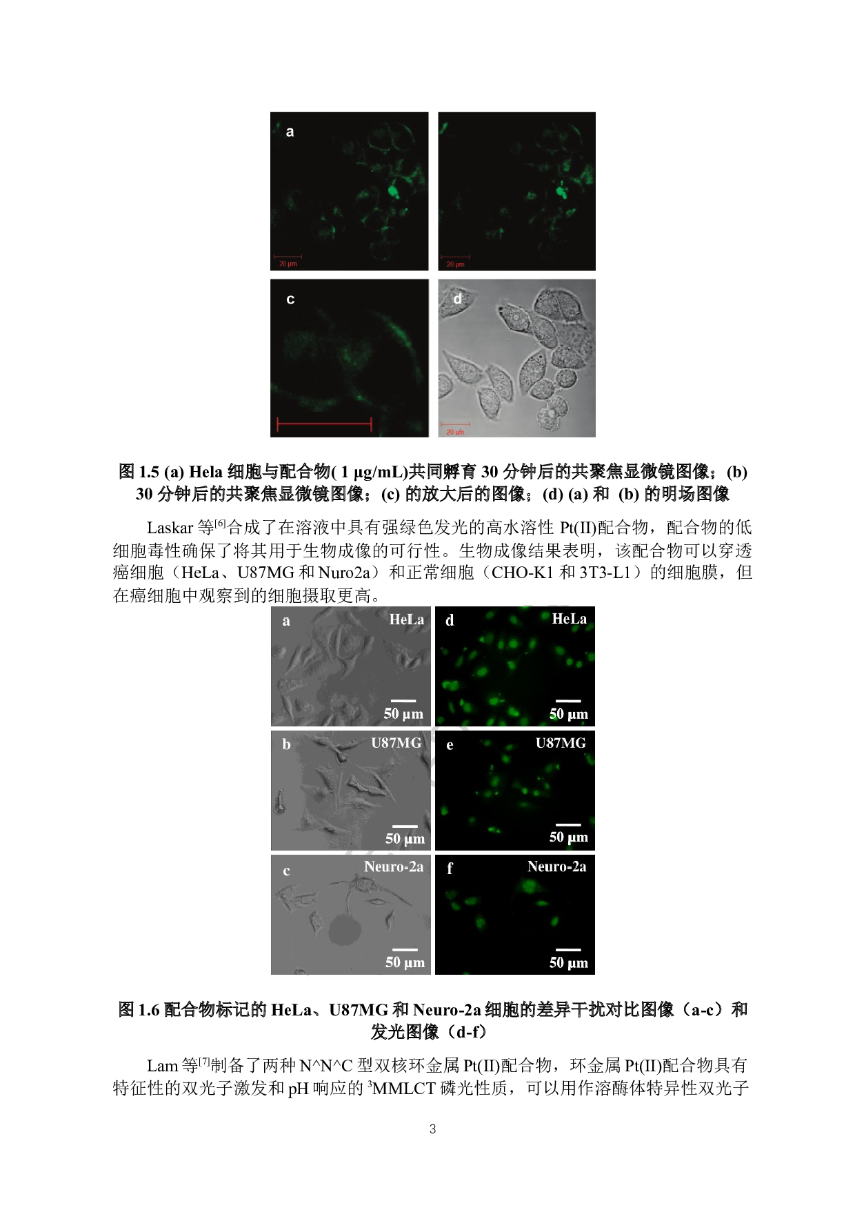 水溶性铂配合物的细胞成像研究-6767字.docx 第5页