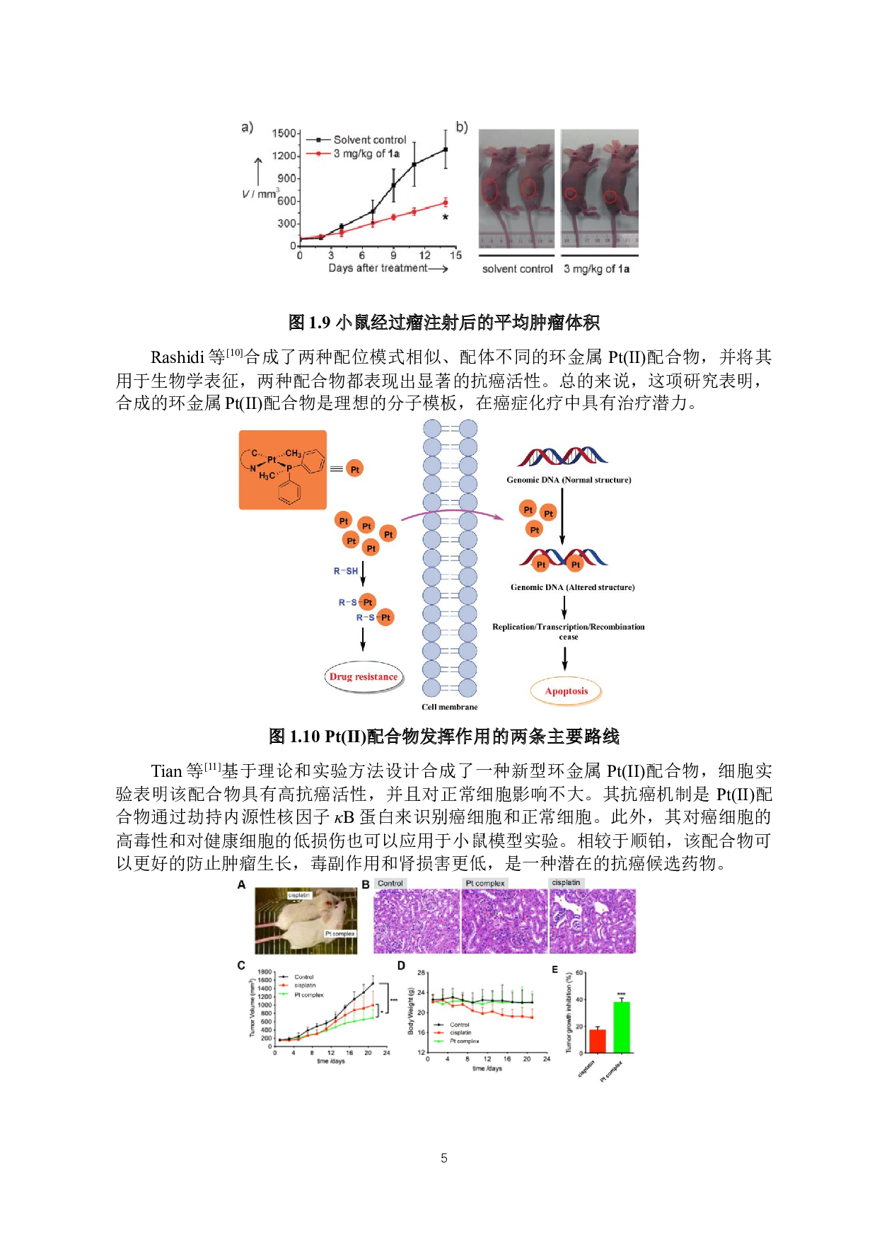 水溶性铂配合物的细胞成像研究-6767字.docx 第7页