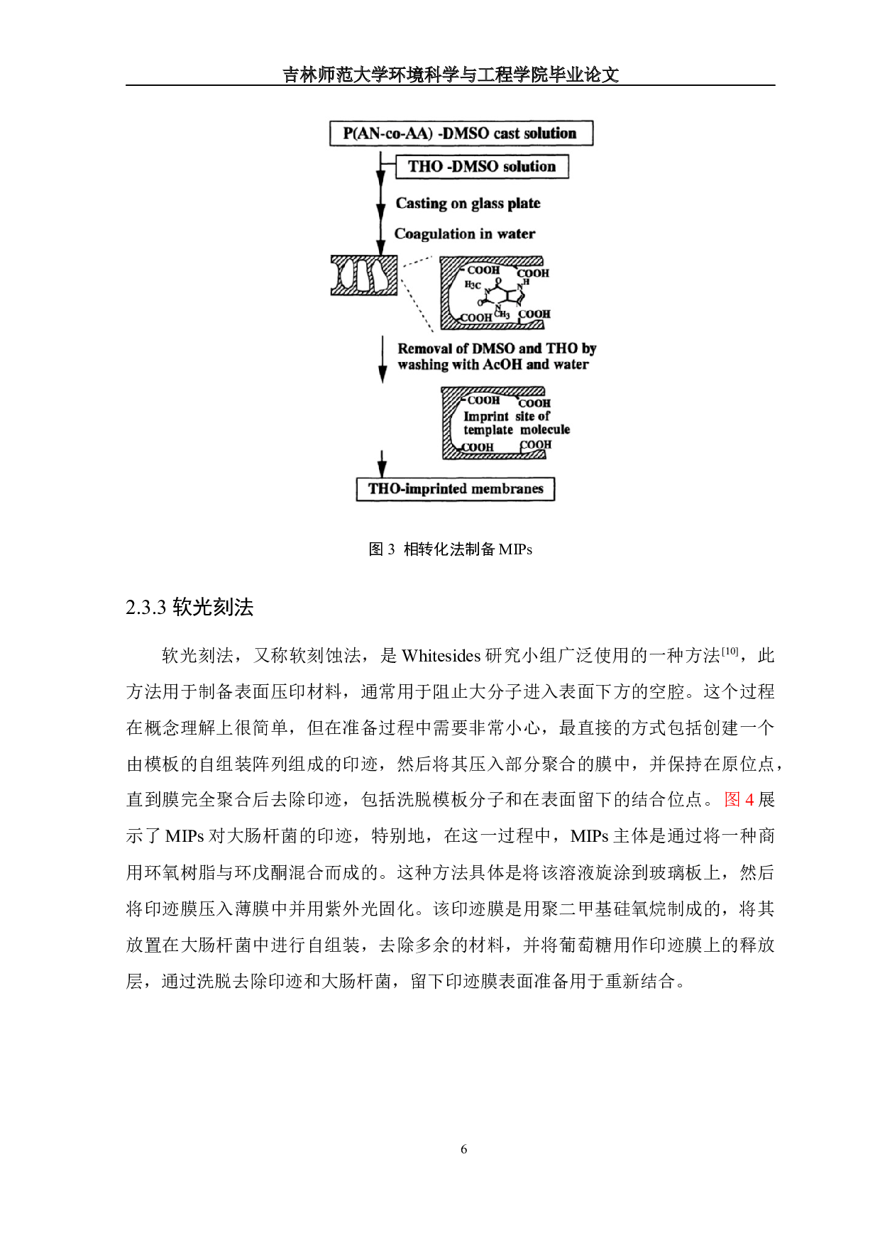 分子印迹聚合物研究进展-12058字.docx 第8页