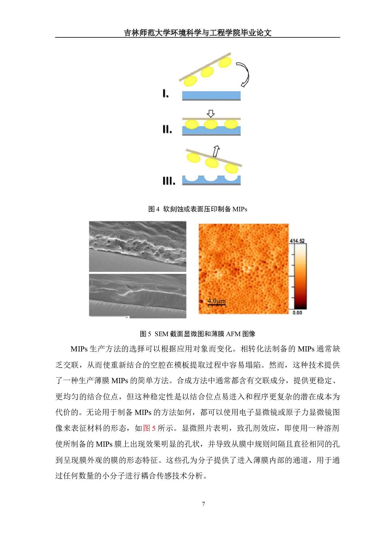 分子印迹聚合物研究进展-12058字.docx 第9页