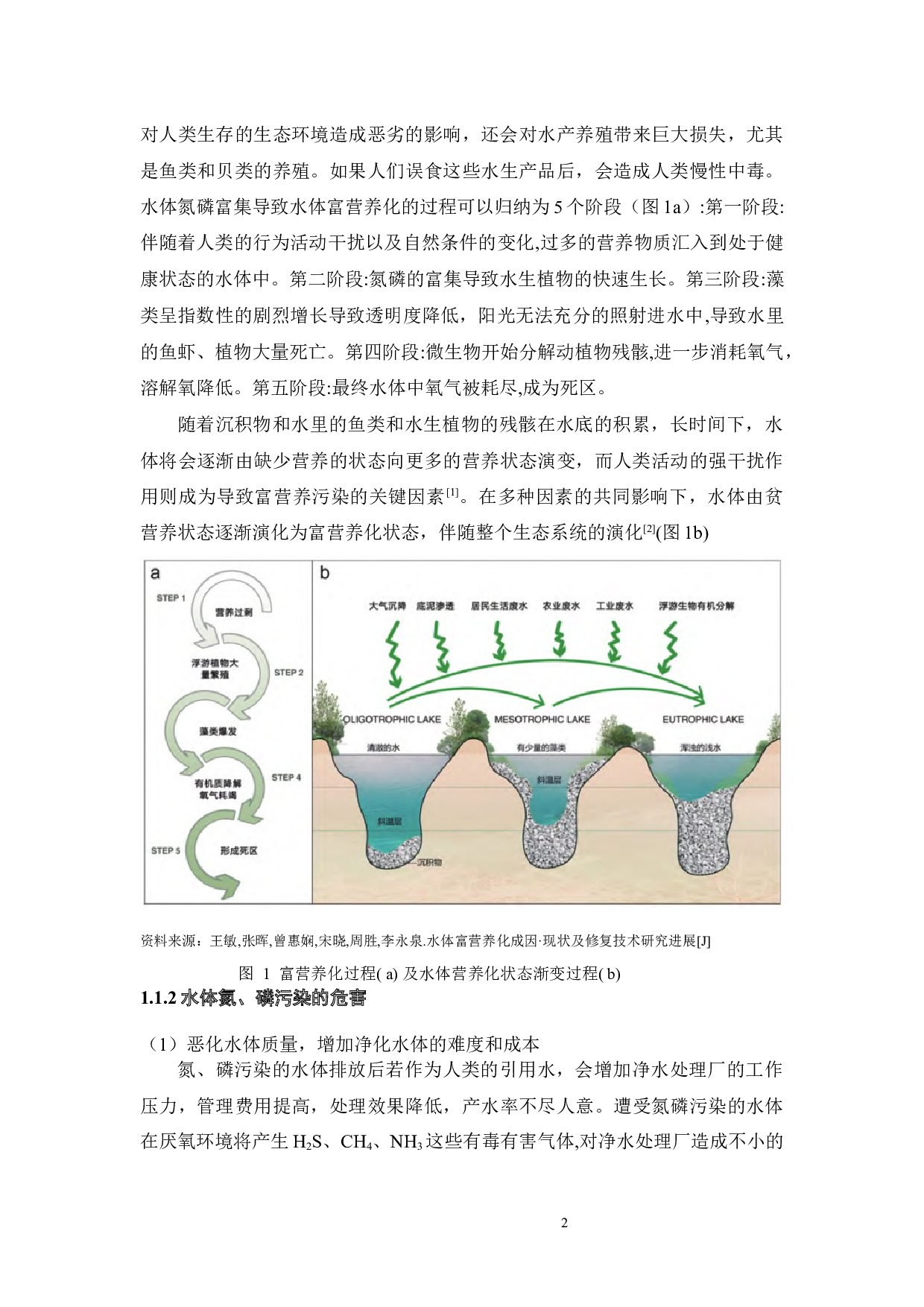 凤眼莲治理水体氮磷-青贮资源化-16258字.docx 第7页