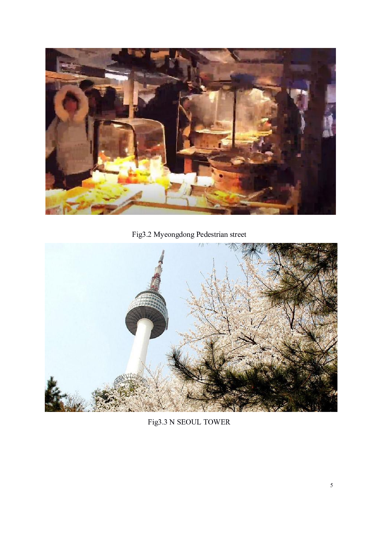 韩国的神奇之地&mdash;&mdash;韩国旅游开发经验分析对中国的借鉴-5659字.pdf 第10页