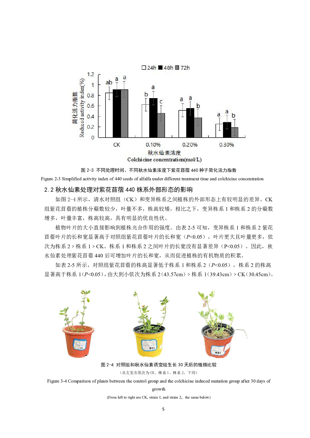 秋水仙素处理下紫花苜蓿形态学和细胞学研究-10254字.pdf 第6页