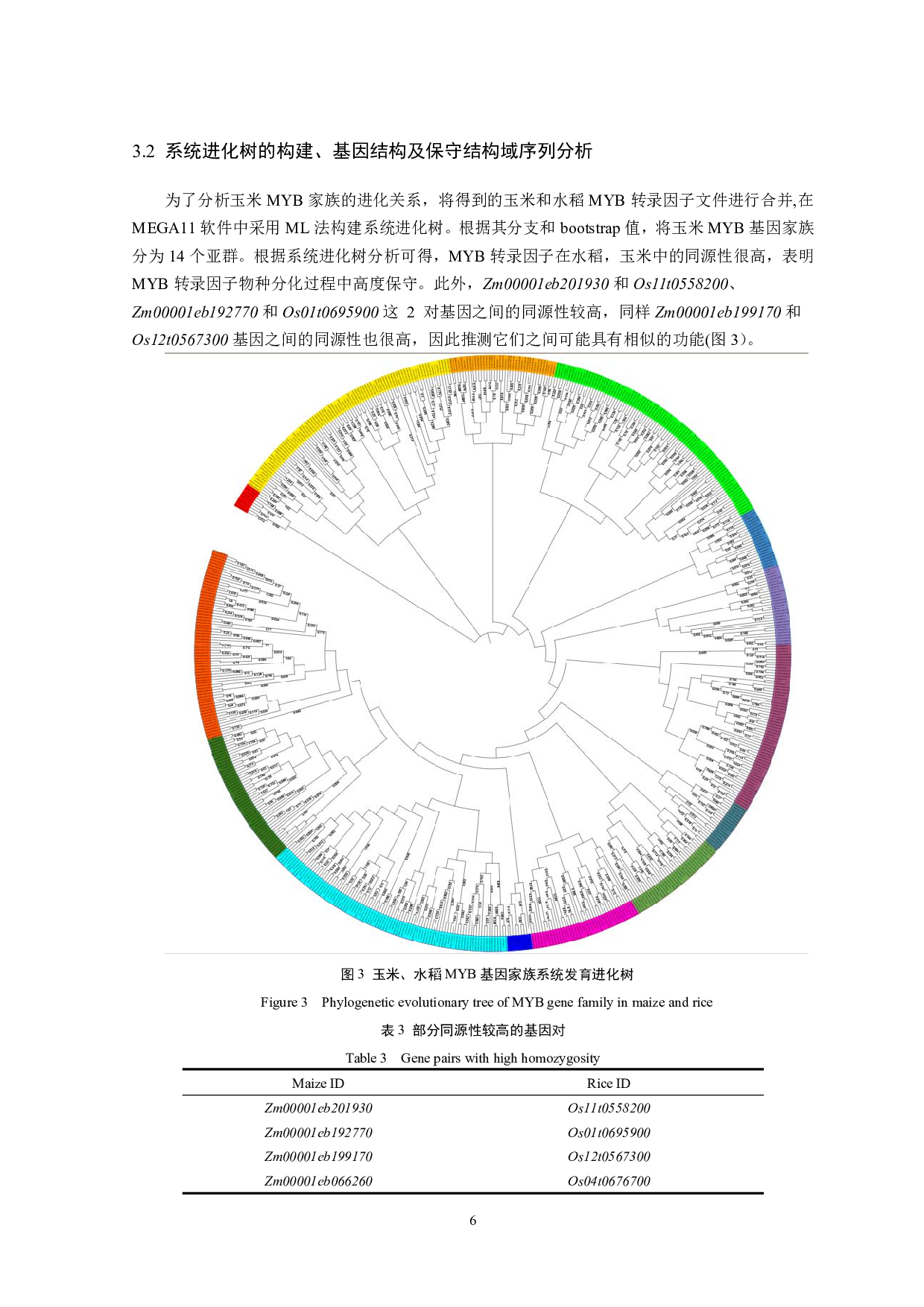 玉米MYB家族的比较基因组分析及多样性研究-8388字.pdf 第7页