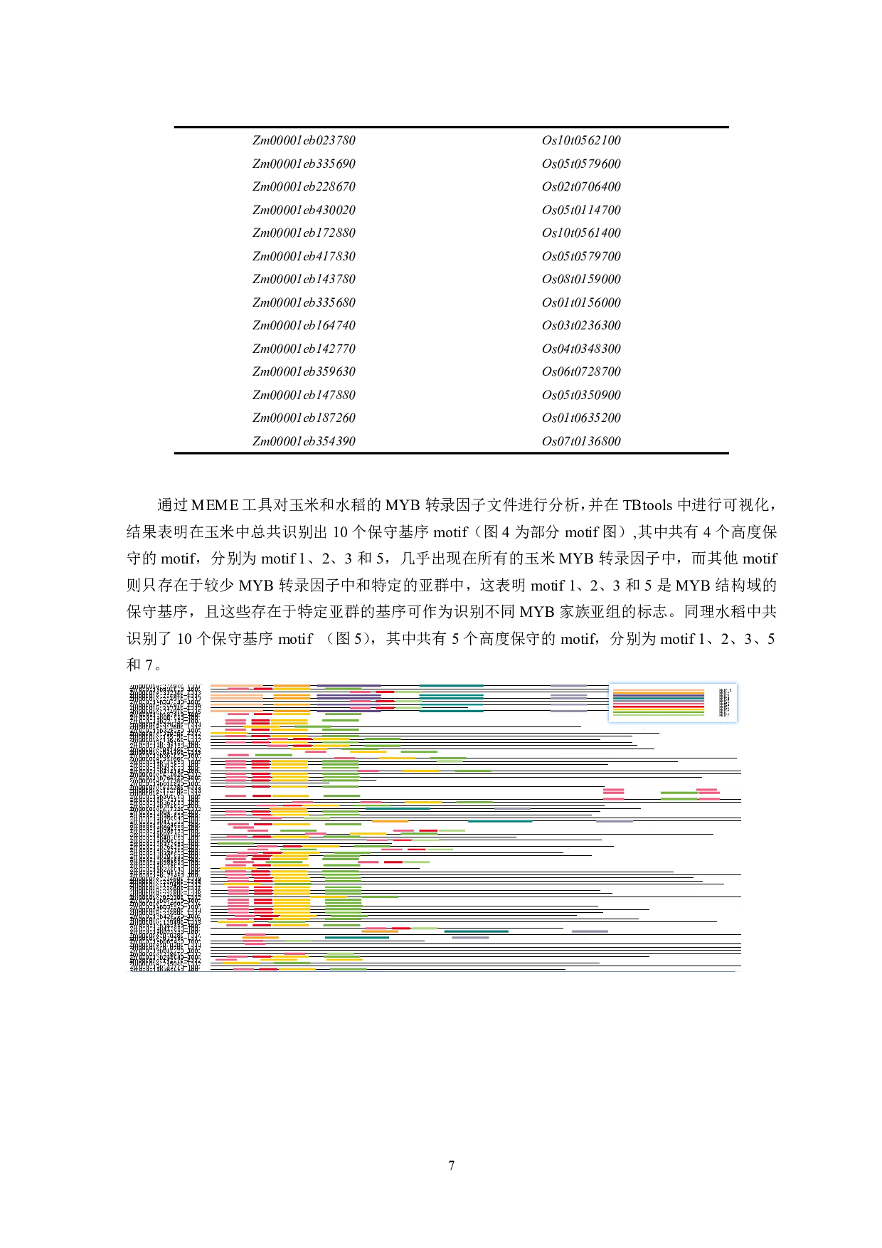 玉米MYB家族的比较基因组分析及多样性研究-8388字.pdf 第8页