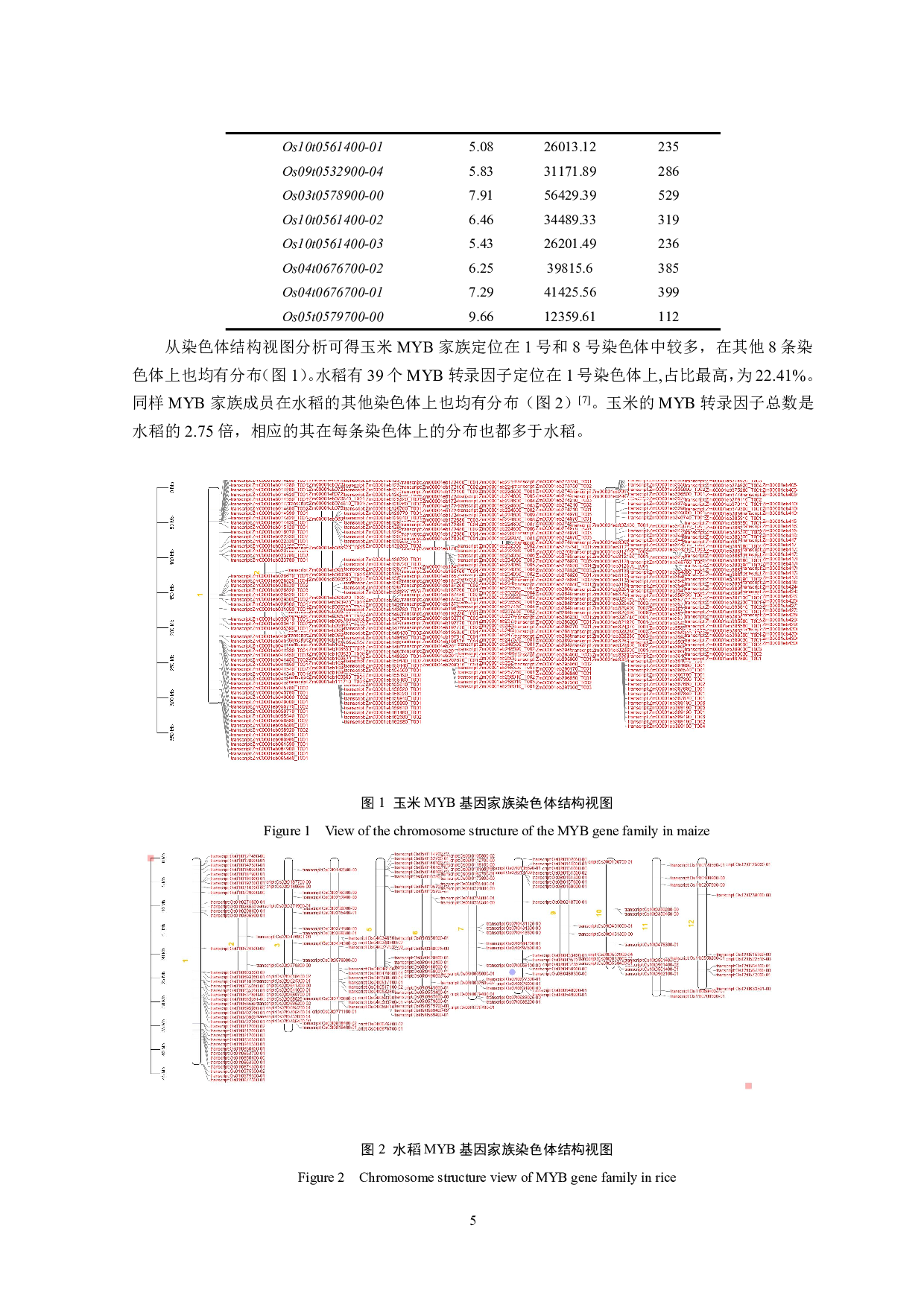 玉米MYB家族的比较基因组分析及多样性研究-8388字.pdf 第6页