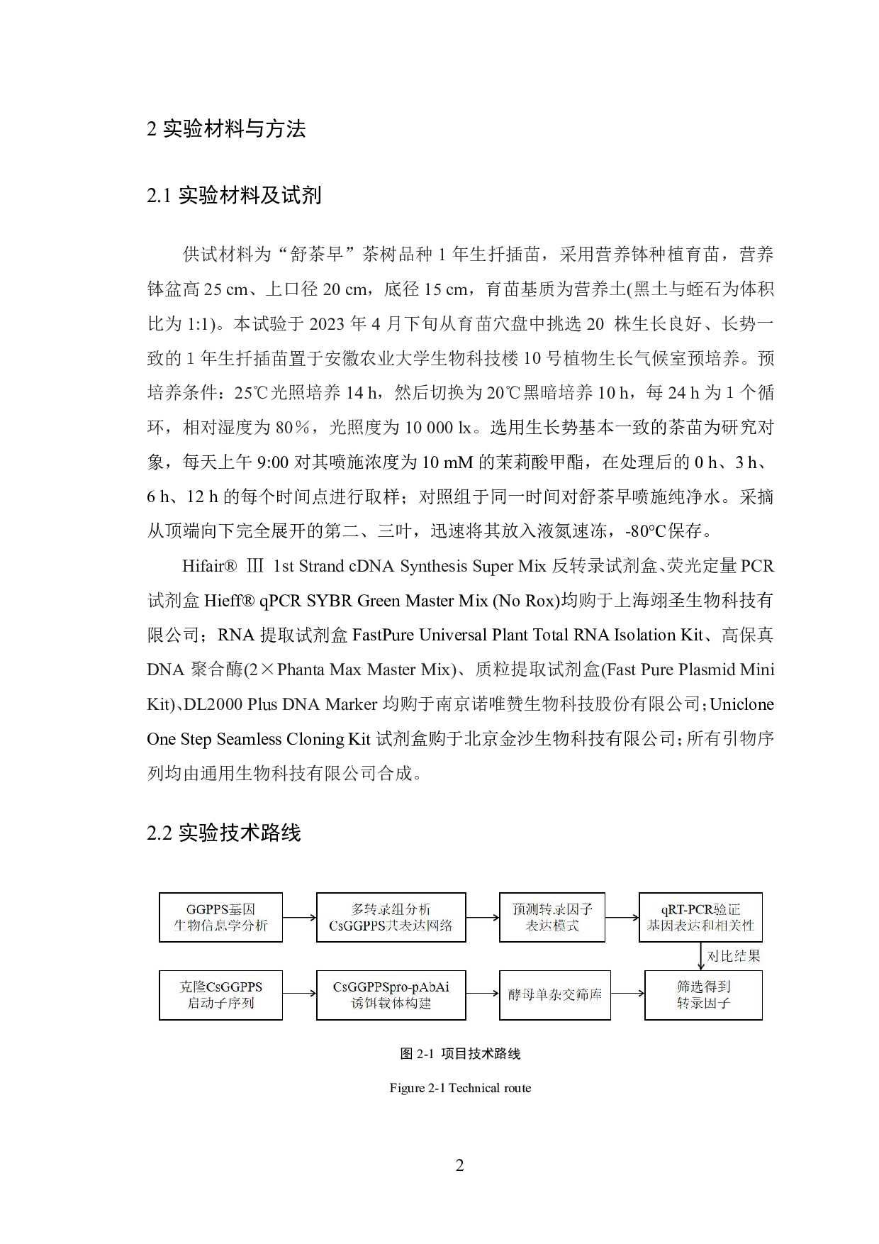 茶树调控CsGGPPS表达的转录因子筛选和初步验证-10354字.pdf 第4页