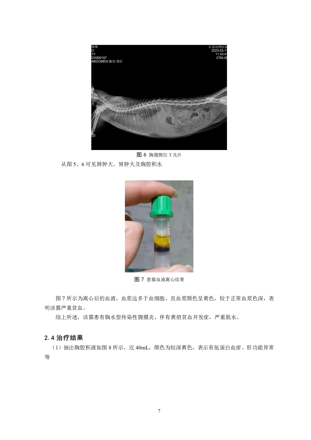 猫传染性腹膜炎1例报告-7757字.pdf 第8页