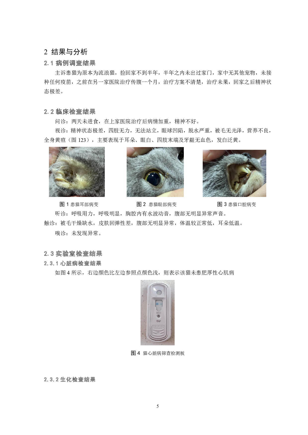猫传染性腹膜炎1例报告-7757字.pdf 第6页
