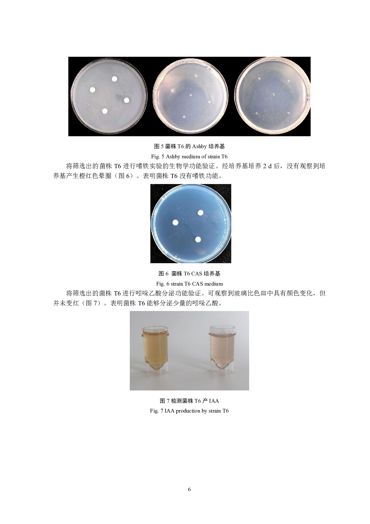 烟草促生细菌的筛选与鉴定-9355字.pdf 第7页