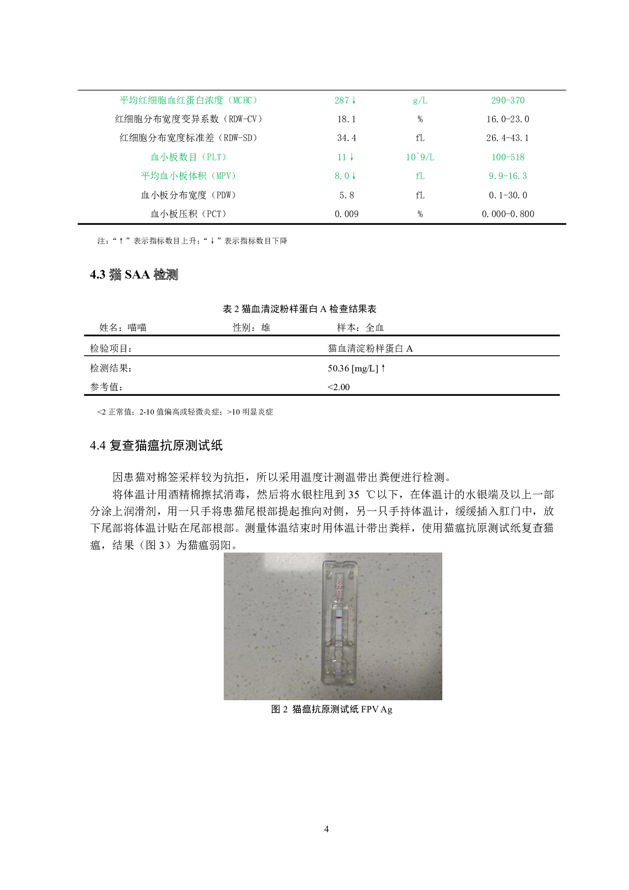 一例猫泛白细胞减少症病例的诊疗-7382字.pdf 第6页