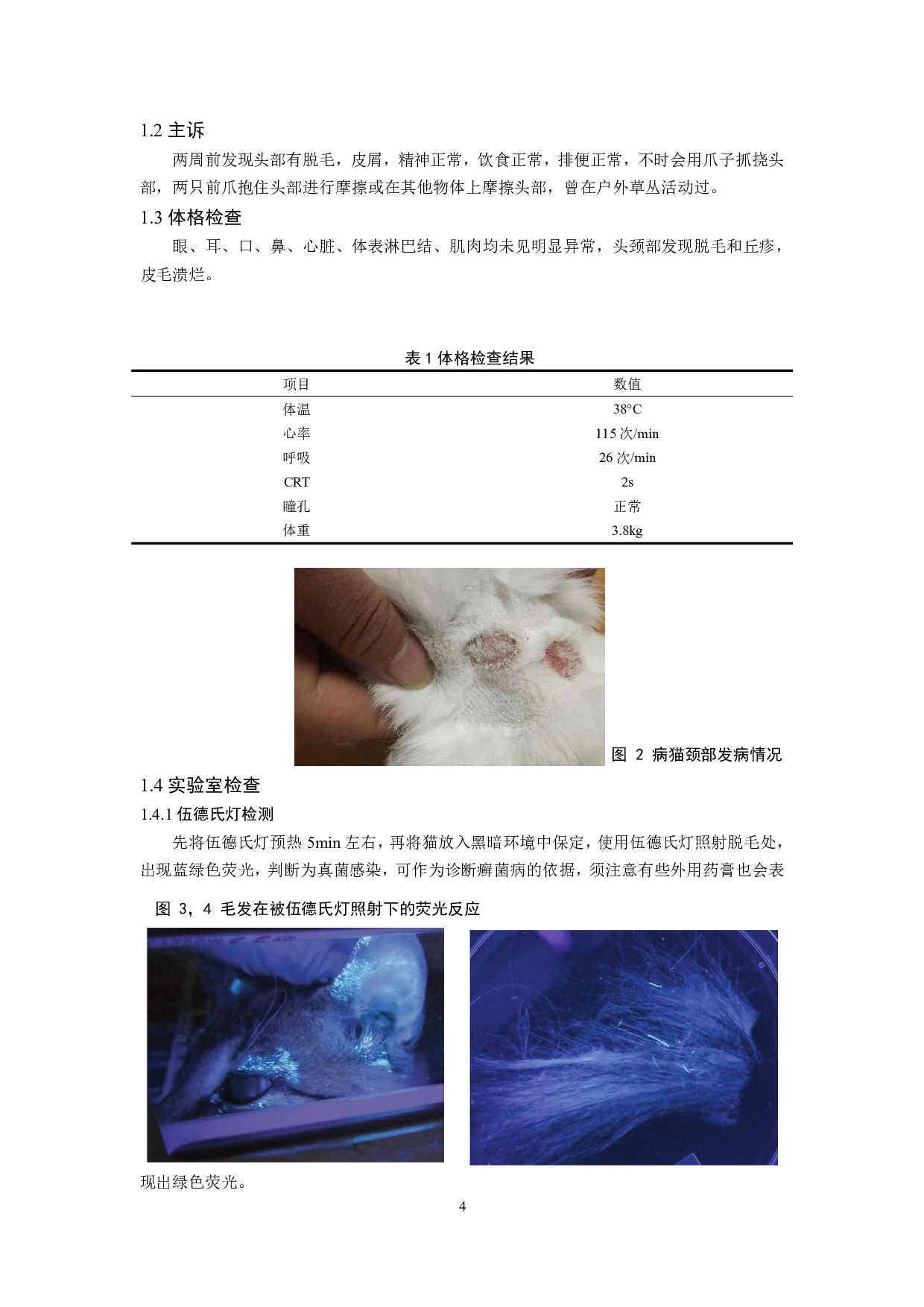 一例猫皮肤真菌病的诊疗-7674字.pdf 第3页