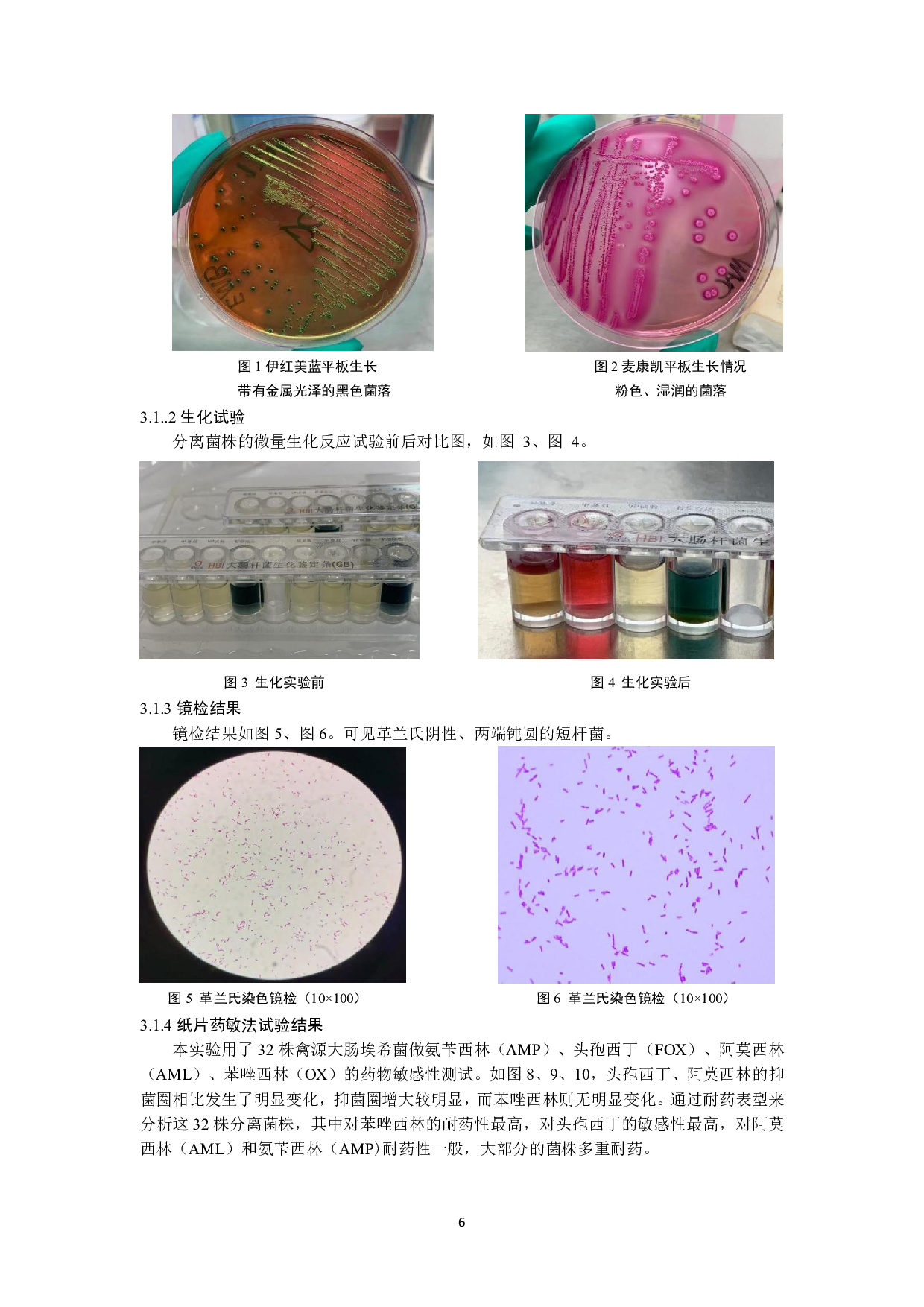 禽源大肠杆菌对&beta;-内酰胺类药物的耐药分析-7234字.pdf 第8页