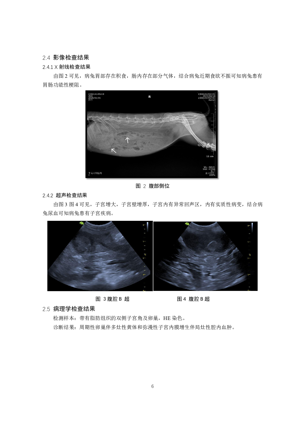 兔子宫内膜增生诱发胃肠功能性梗阻的诊治-8265字.pdf 第7页
