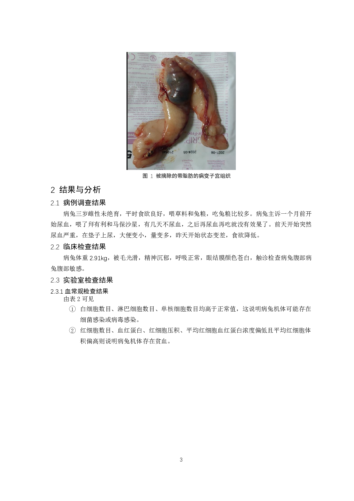 兔子宫内膜增生诱发胃肠功能性梗阻的诊治-8265字.pdf 第4页