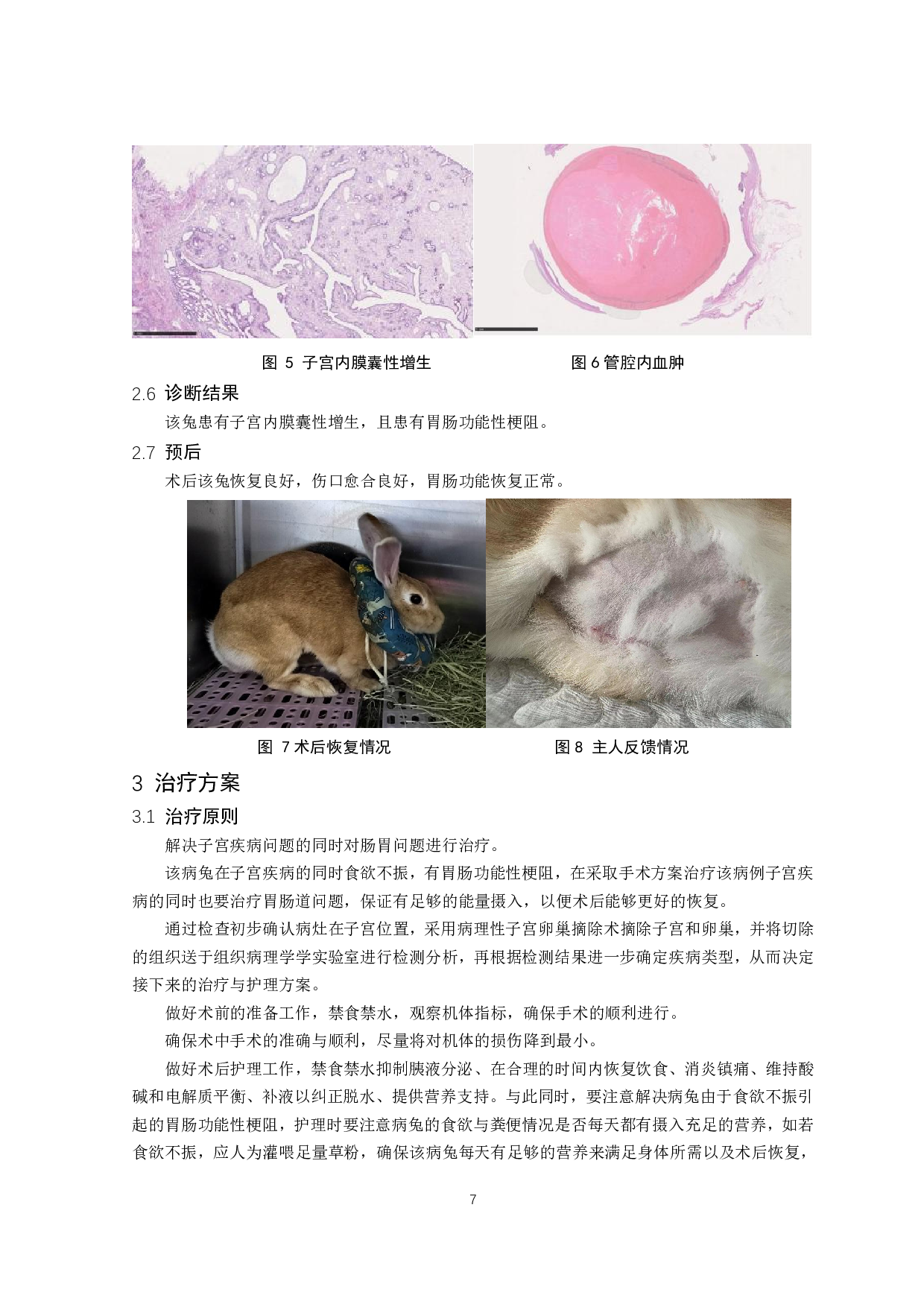 兔子宫内膜增生诱发胃肠功能性梗阻的诊治-8265字.pdf 第8页