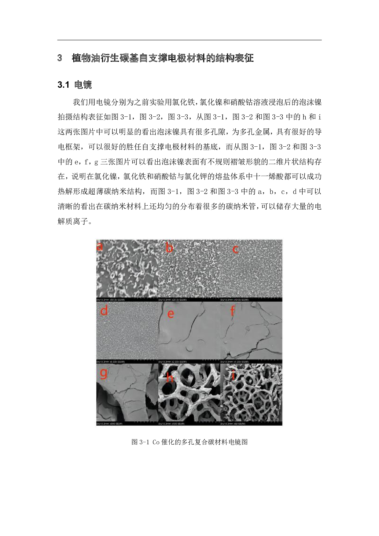 植物油衍生碳基自支撑电极材料的制备及其结构表征-9660字.pdf 第10页