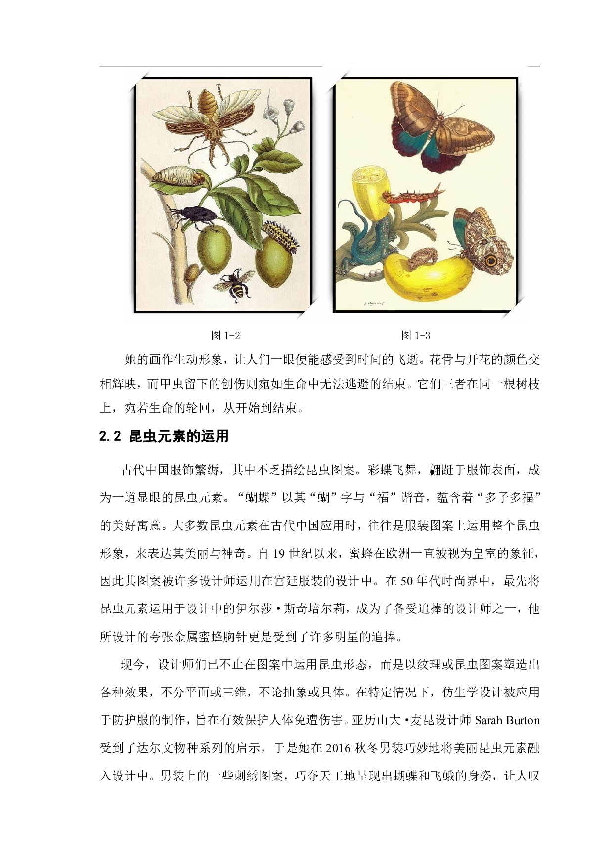 昆虫元素在创意服装设计中的运用&mdash;&mdash;&ldquo;重生&rdquo;系列创意服装设计-8082字.pdf 第5页