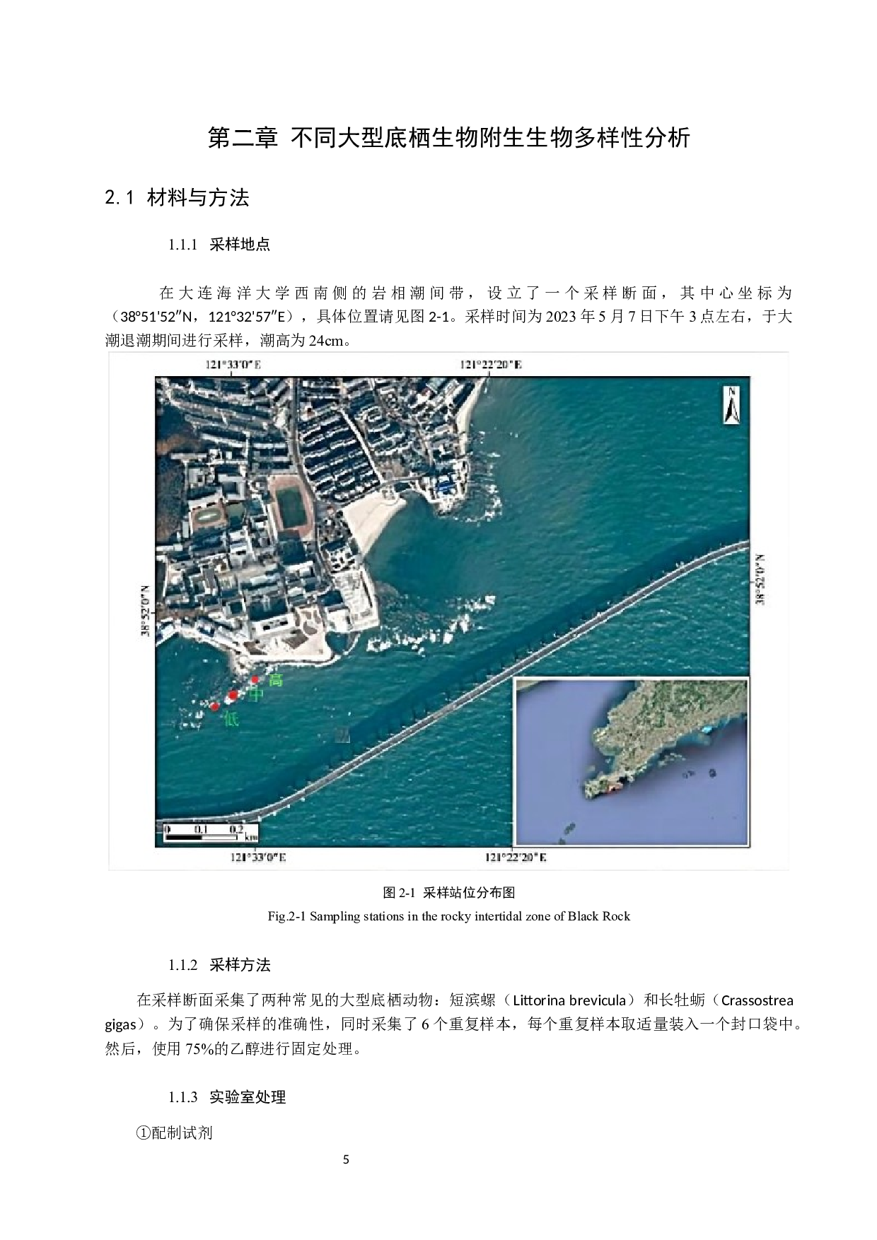 潮间带大型底栖动物表面附着生物多样性研究-13248字.docx 第6页