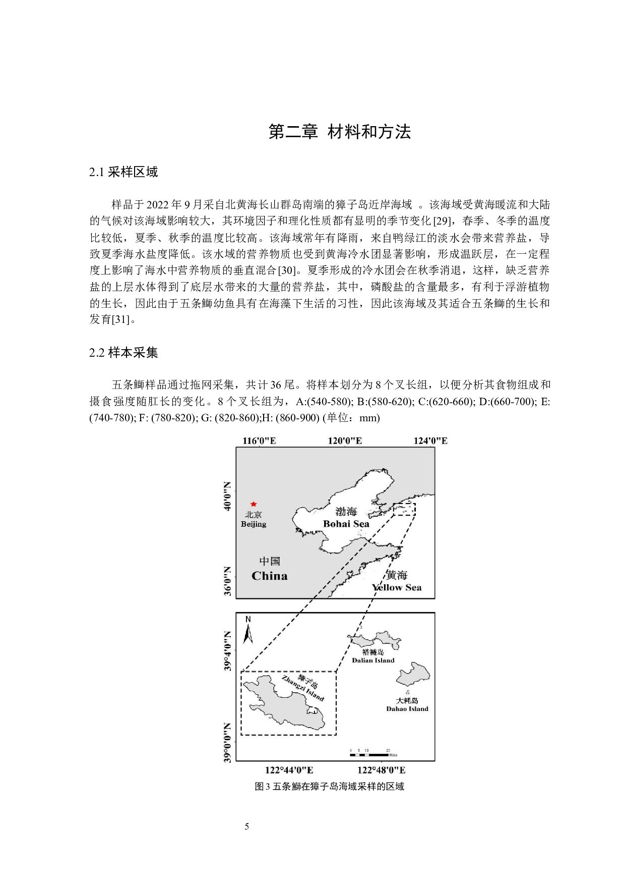 五条鰤摄食生态学初步研究-11641字.docx 第8页