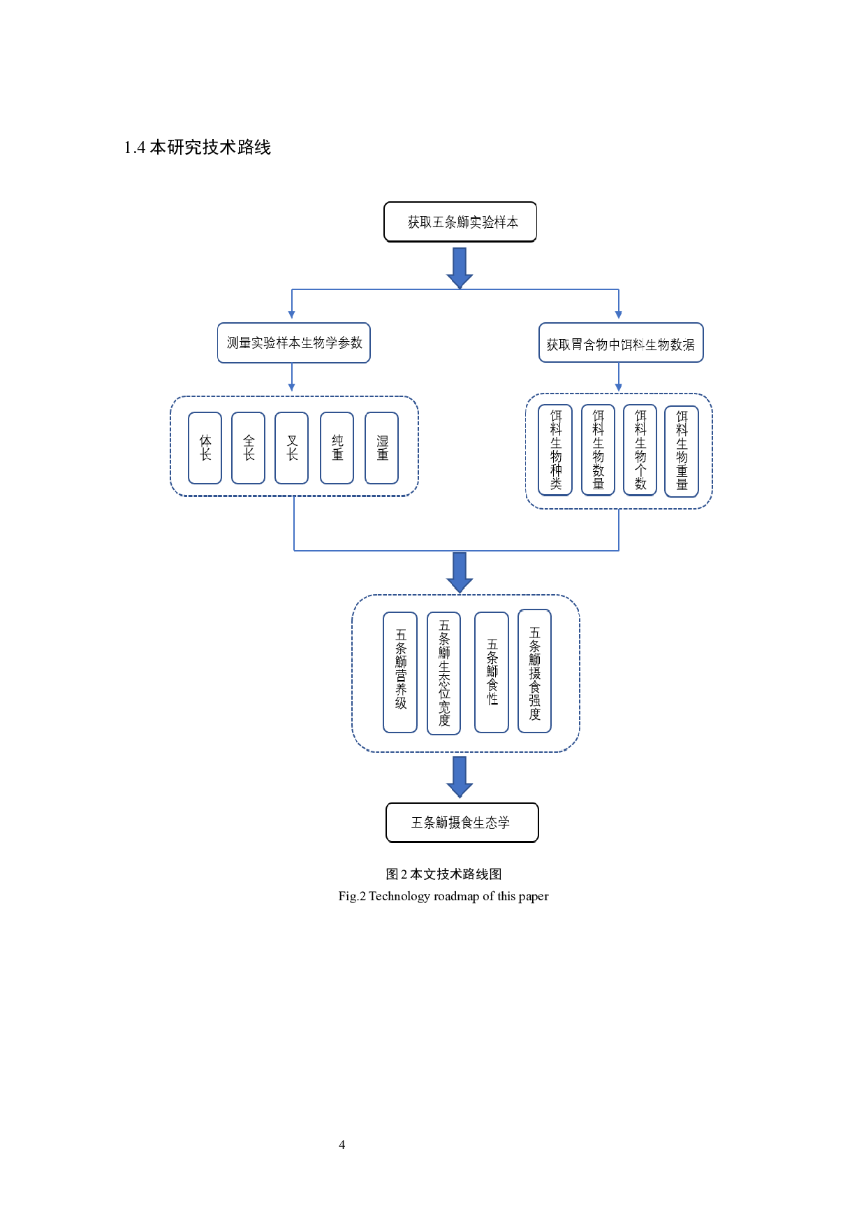 五条鰤摄食生态学初步研究-11641字.docx 第7页