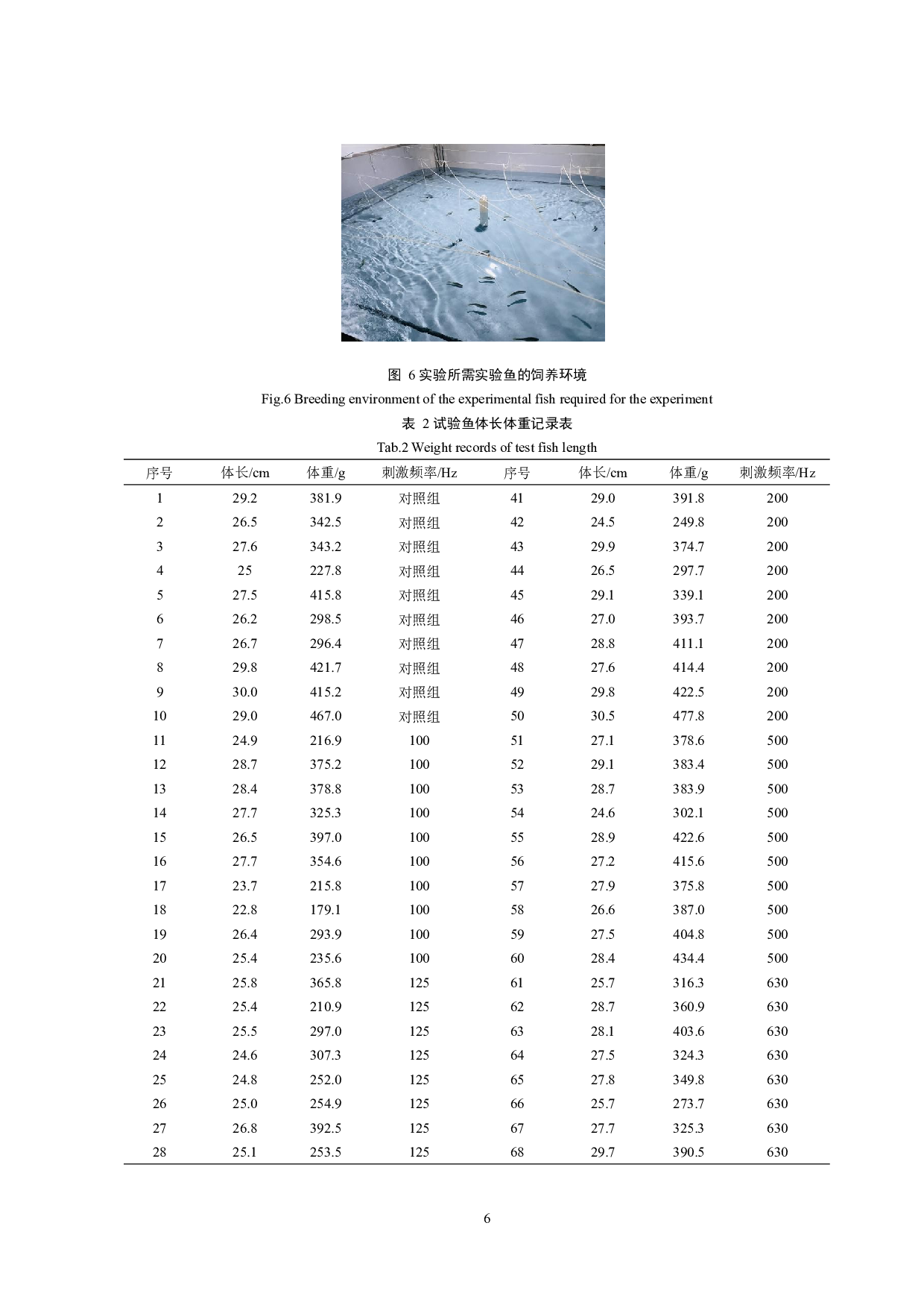大黄鱼在不同频率声暴露刺激下的行为反应-9027字.docx 第9页
