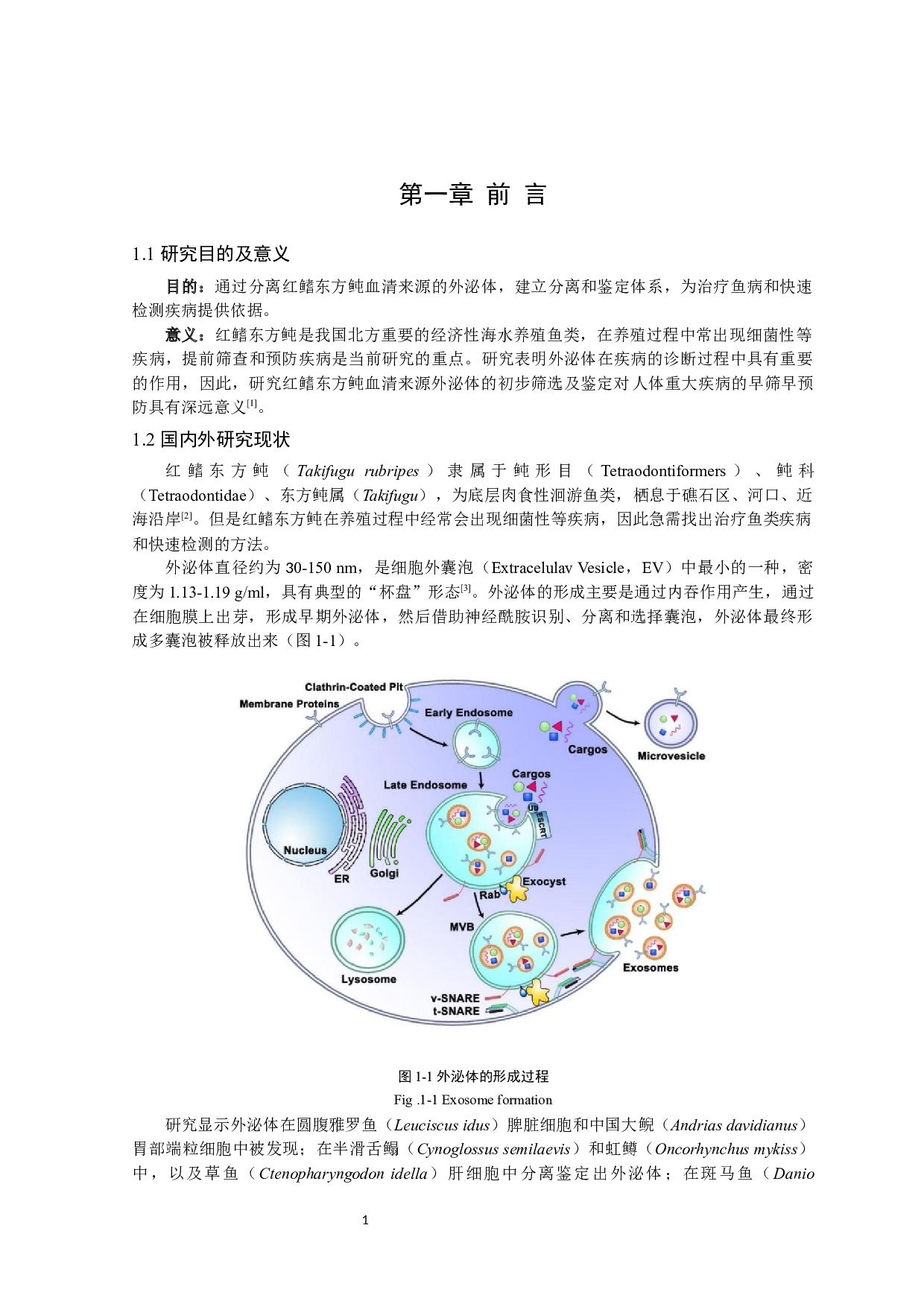红鳍东方鲀外泌体的鉴定及分离筛选方法的构建-9548字.docx 第4页