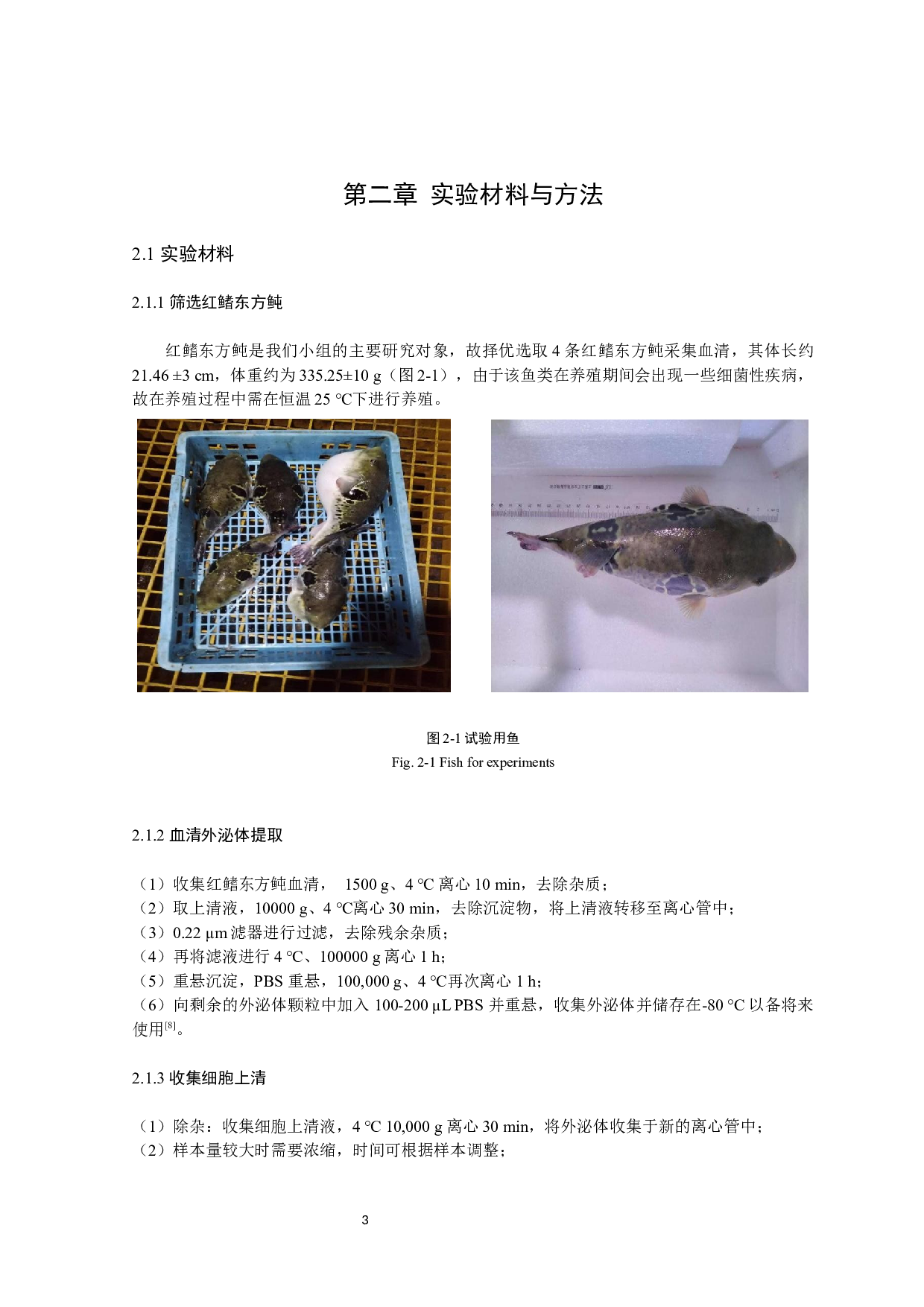 红鳍东方鲀外泌体的鉴定及分离筛选方法的构建-9548字.docx 第6页