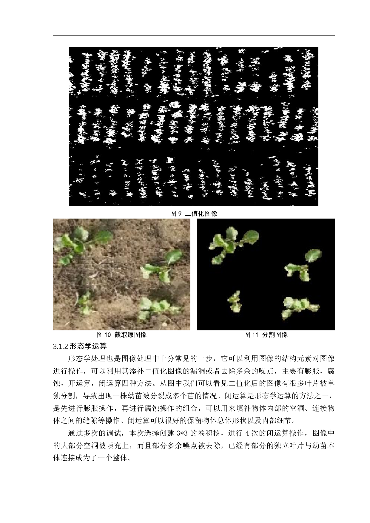 基于机器视觉的油菜出苗质量检测-17134字.pdf 第10页