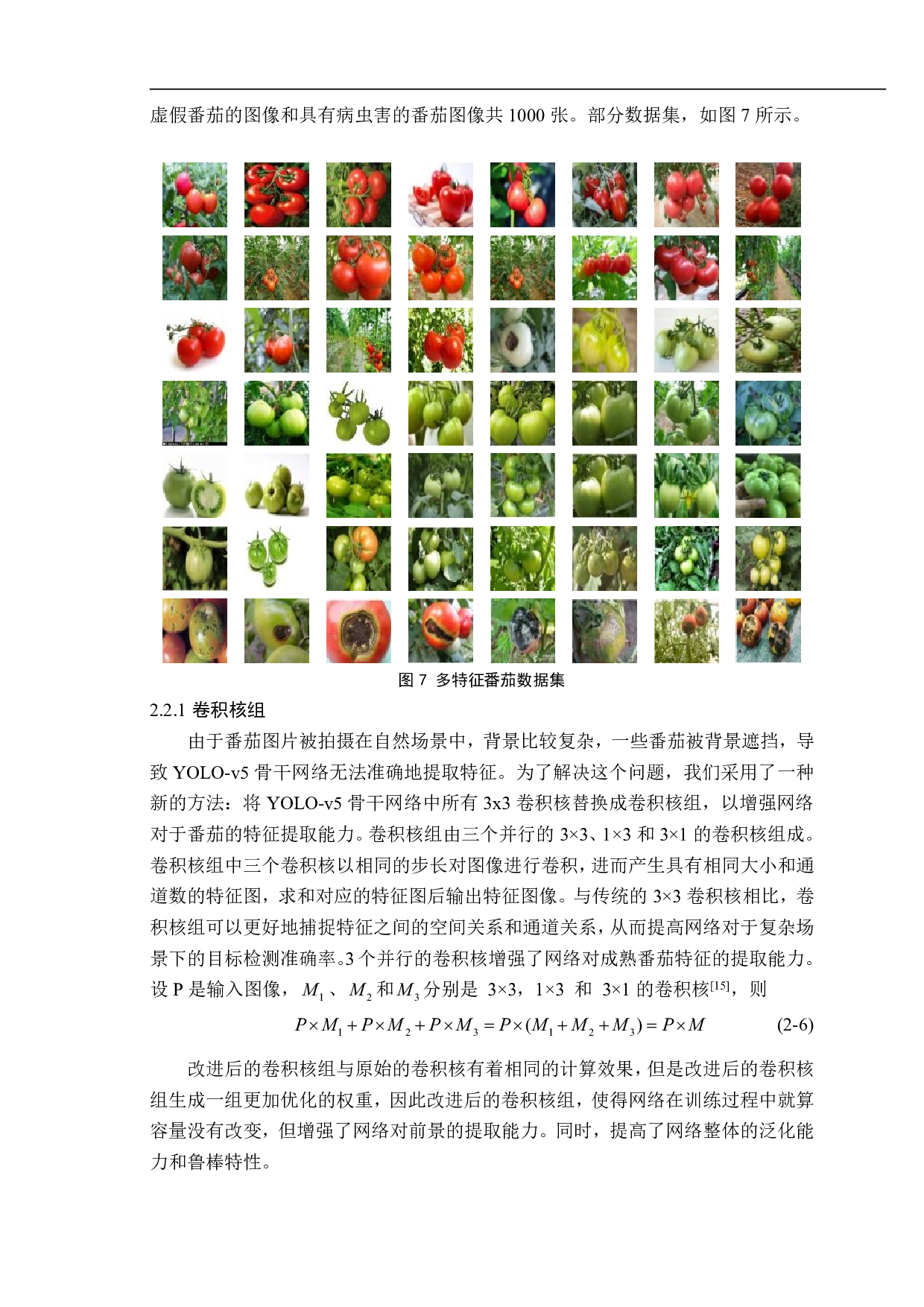 小型轮足切换式番茄田间成熟度检测仿生机器人设计与试验-14350字.pdf 第7页