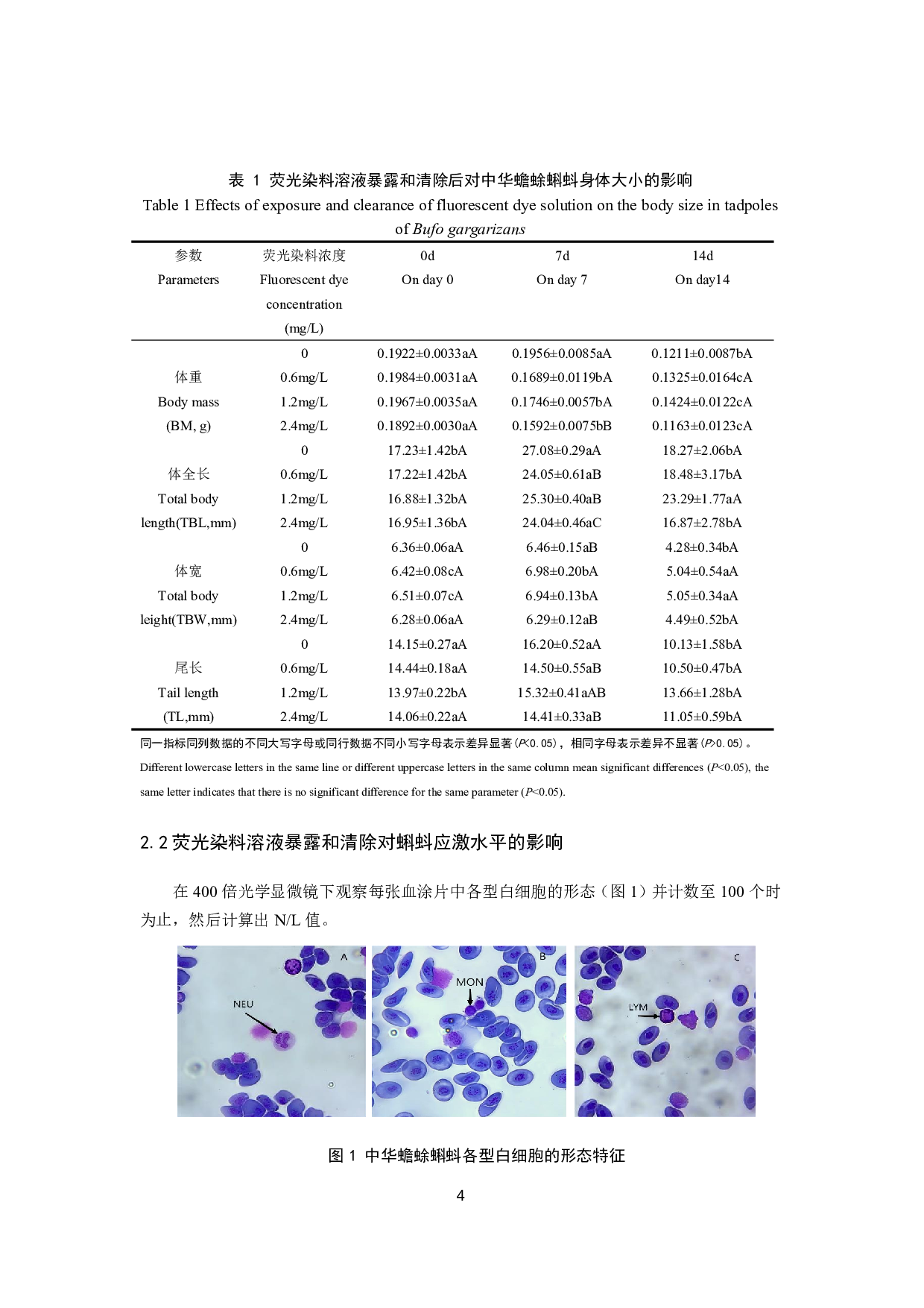 荧光染料对蝌蚪应激水平和免疫功能的影响-8846字.pdf 第6页