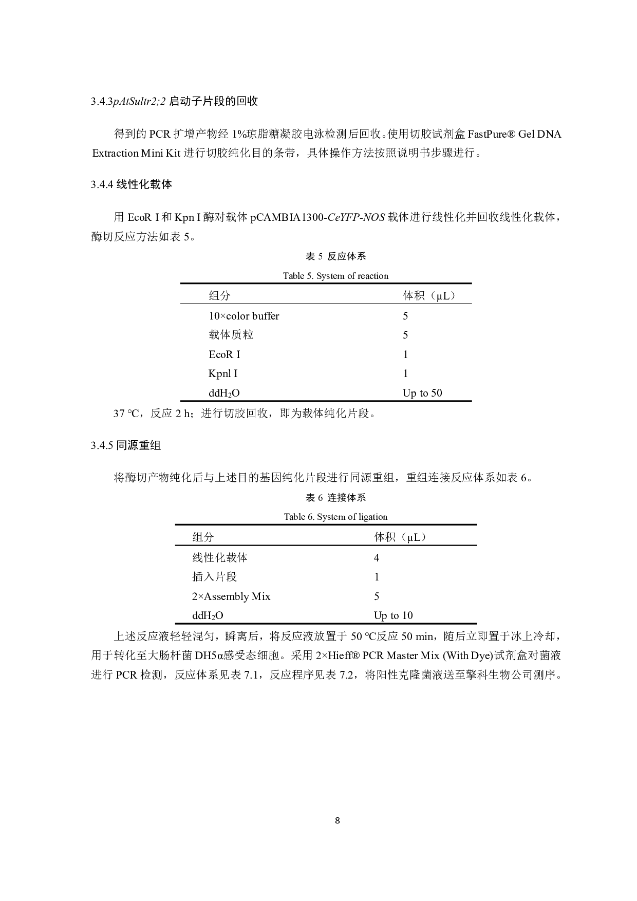 促维管束鞘叶绿体发育双元载体的构建及拟南芥的遗传转化-9809字.pdf 第10页