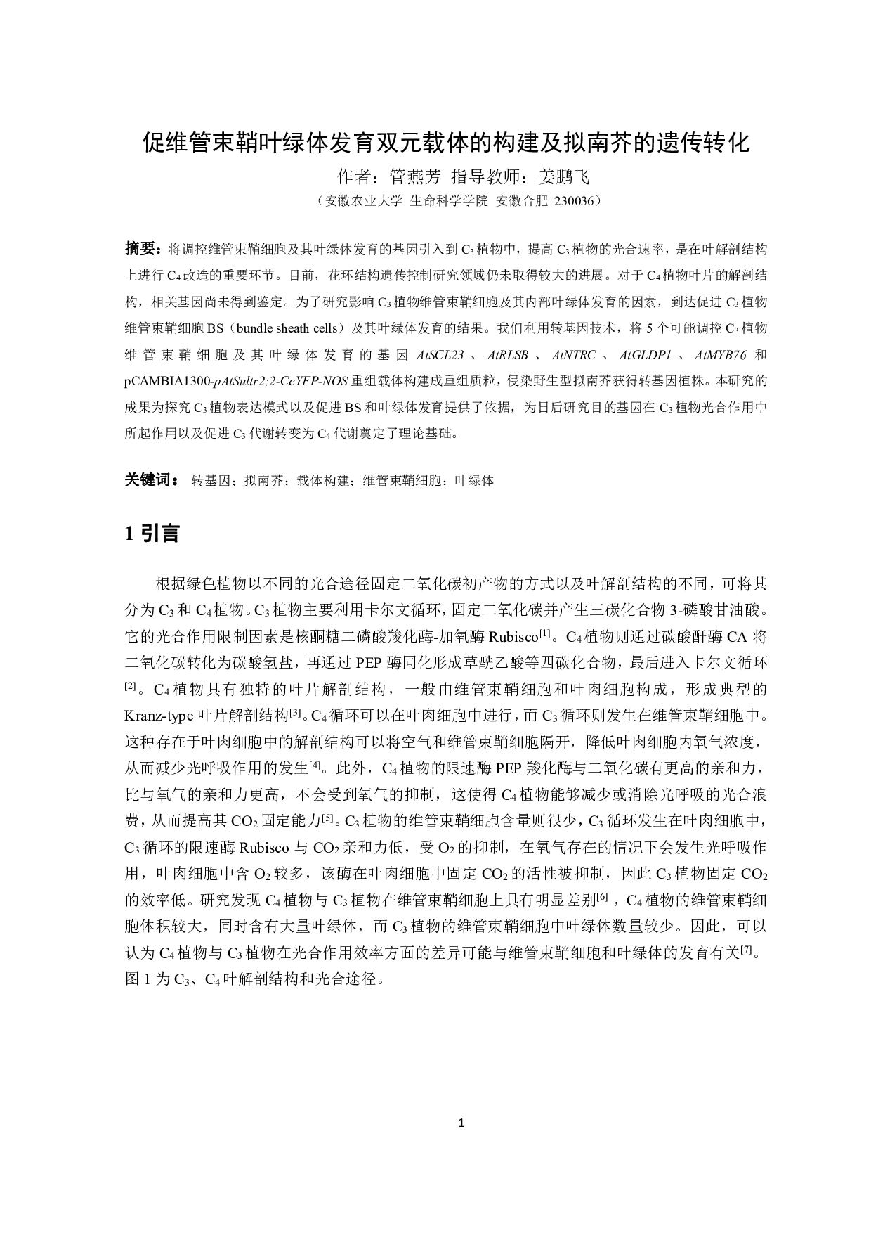 促维管束鞘叶绿体发育双元载体的构建及拟南芥的遗传转化-9809字.pdf 第3页