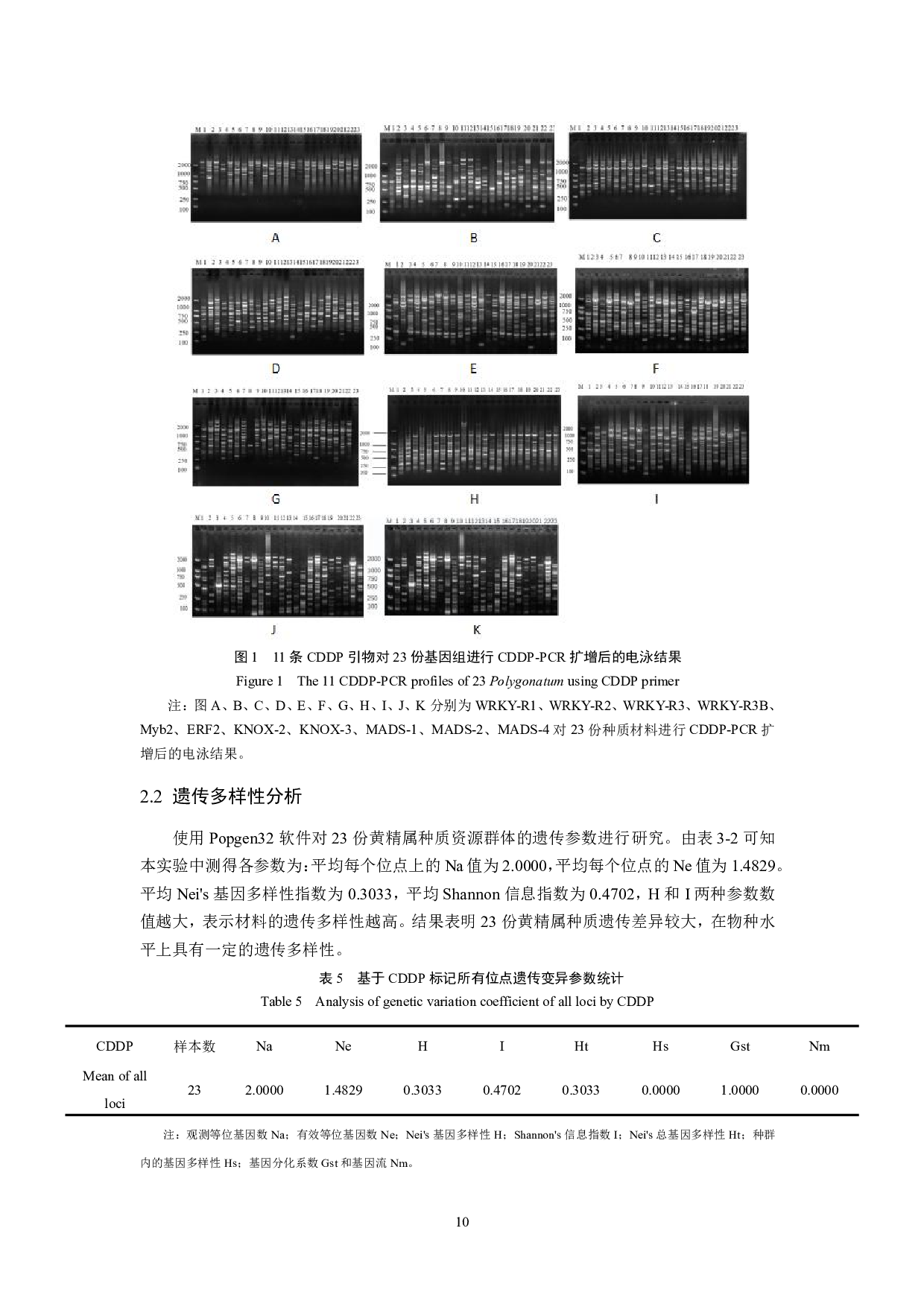 黄精种质CDDP分子标记的遗传多样性分析-10267字.pdf 第9页